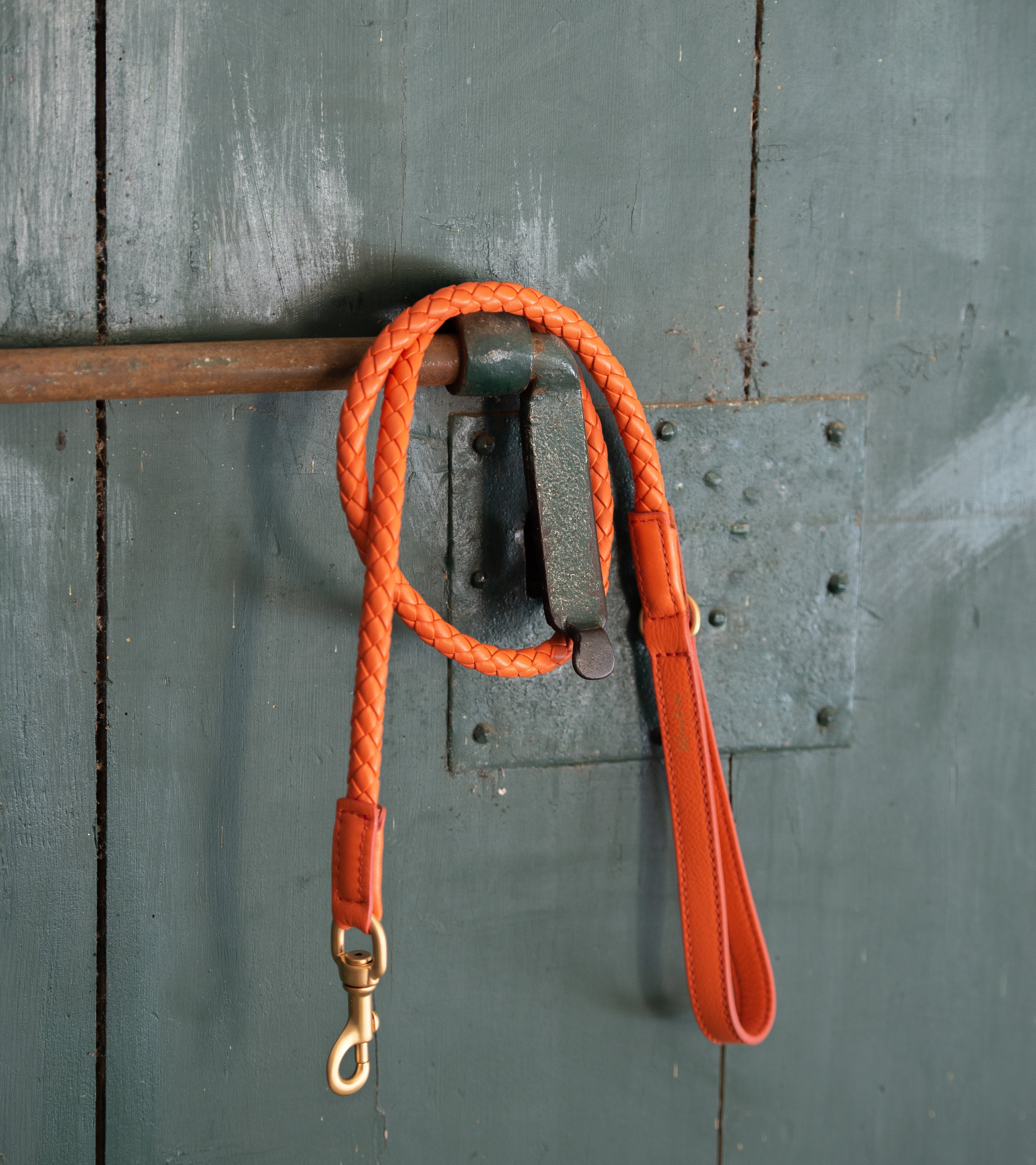 How to Care for a Leather Dog Collar and Leash