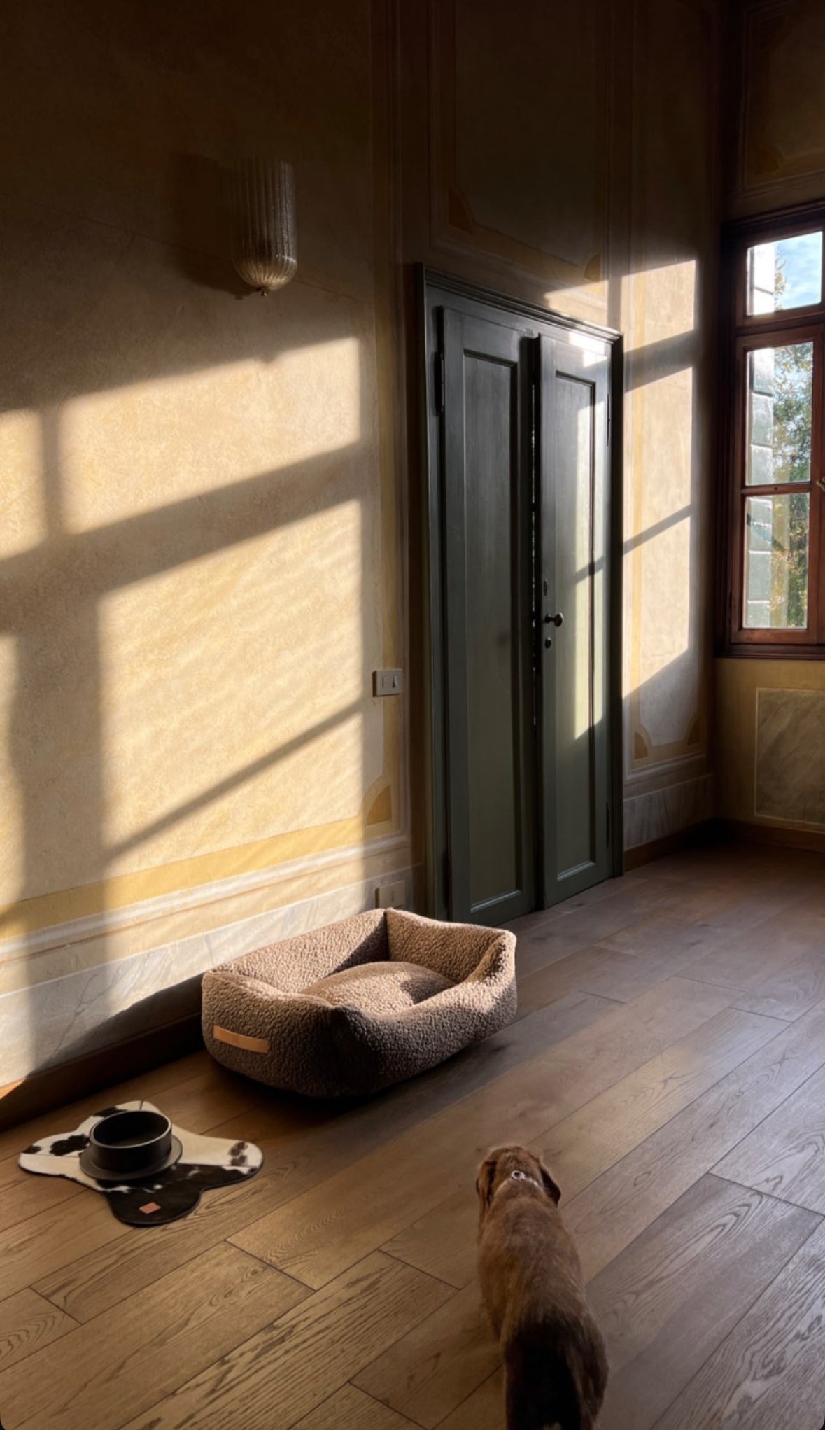 The Dog-Friendly Home: How to Design a Space That Works for Both of You