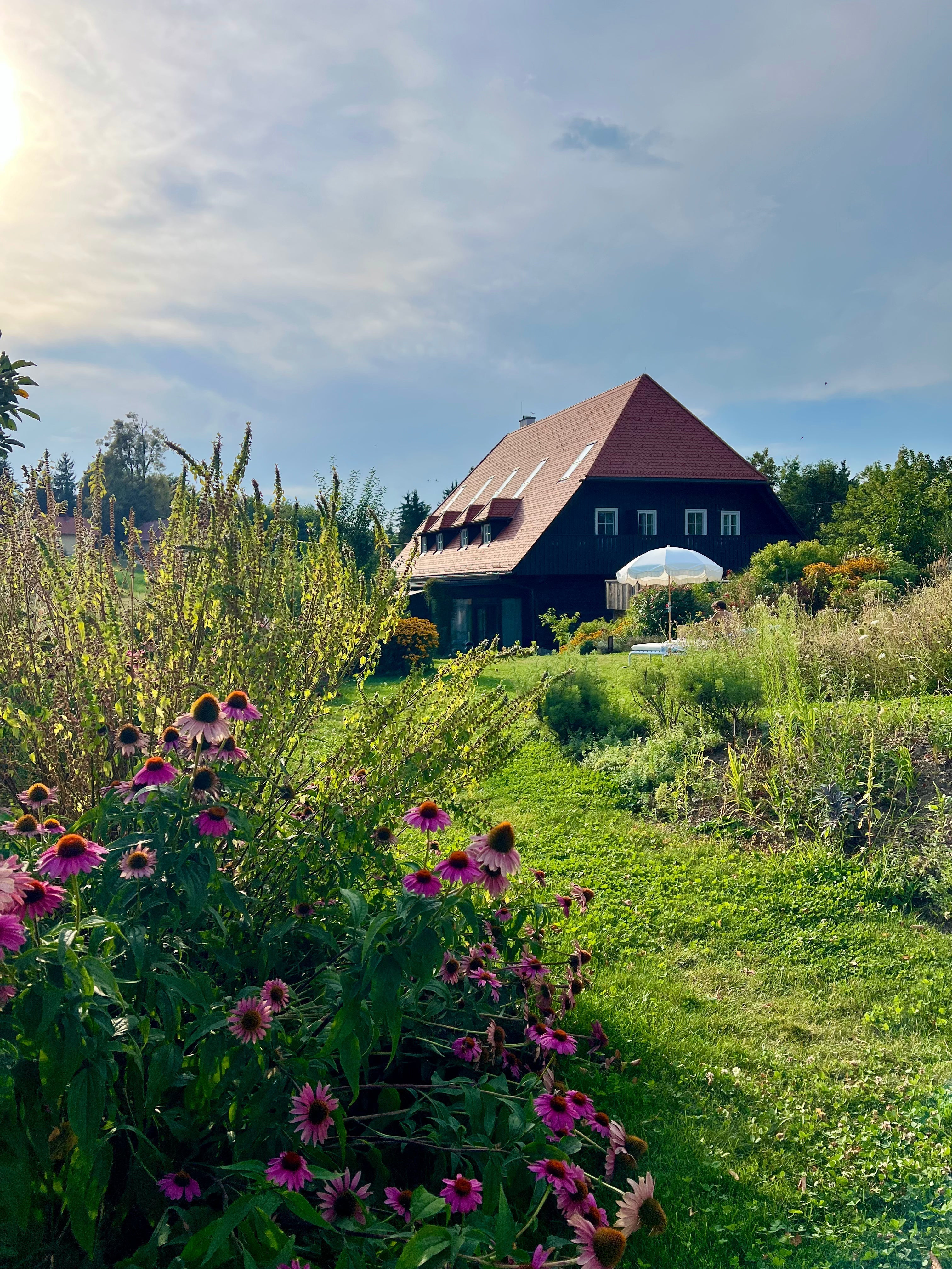 A schoolhouse in Styria, six rooms, and a dachshund named Frank