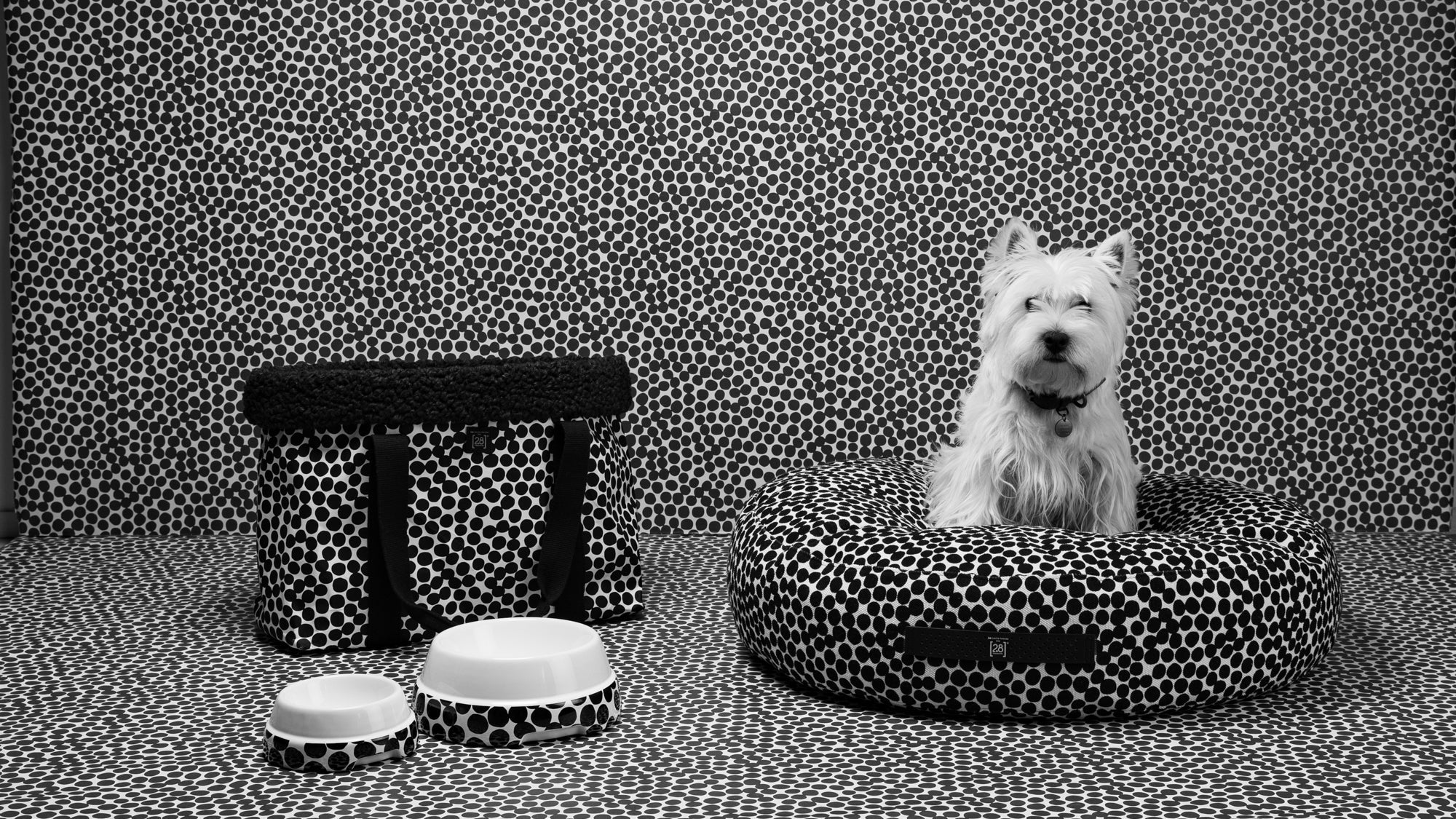 Their Favorite Little Corner