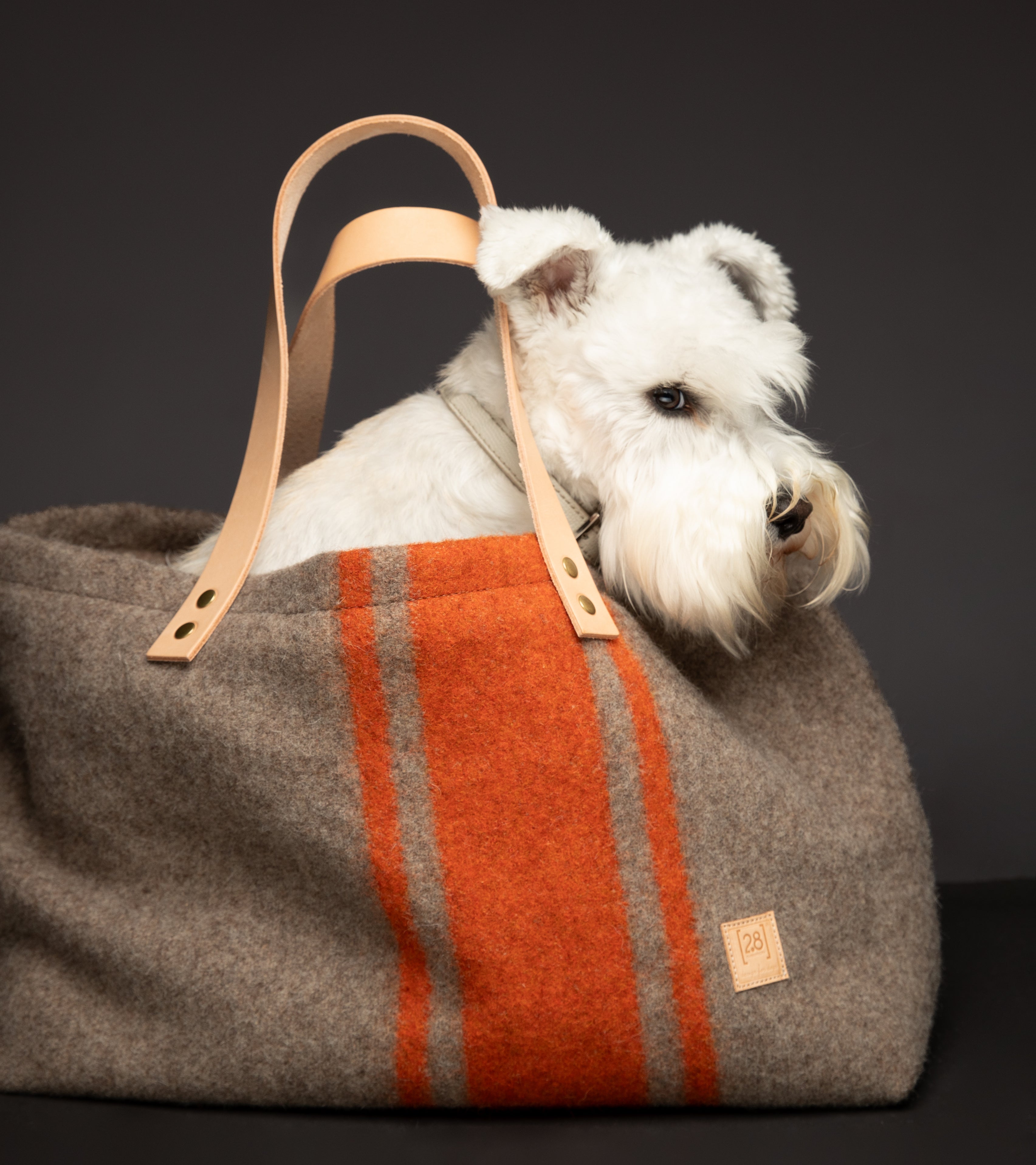 Carry Your Dog in Style: The Most Fashionable Luxury Bags of 2024