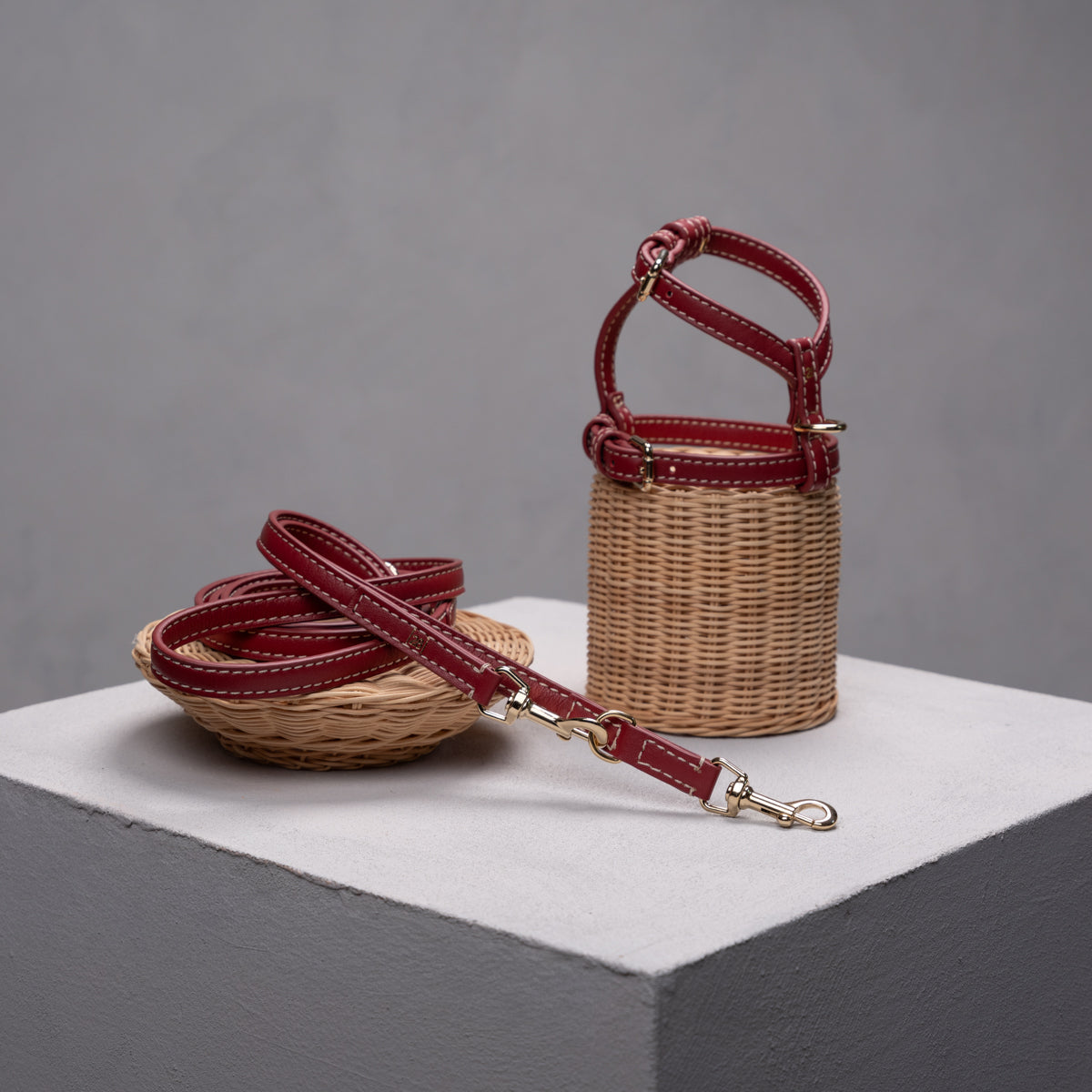 Dog Leashes, Harnesses & Collars