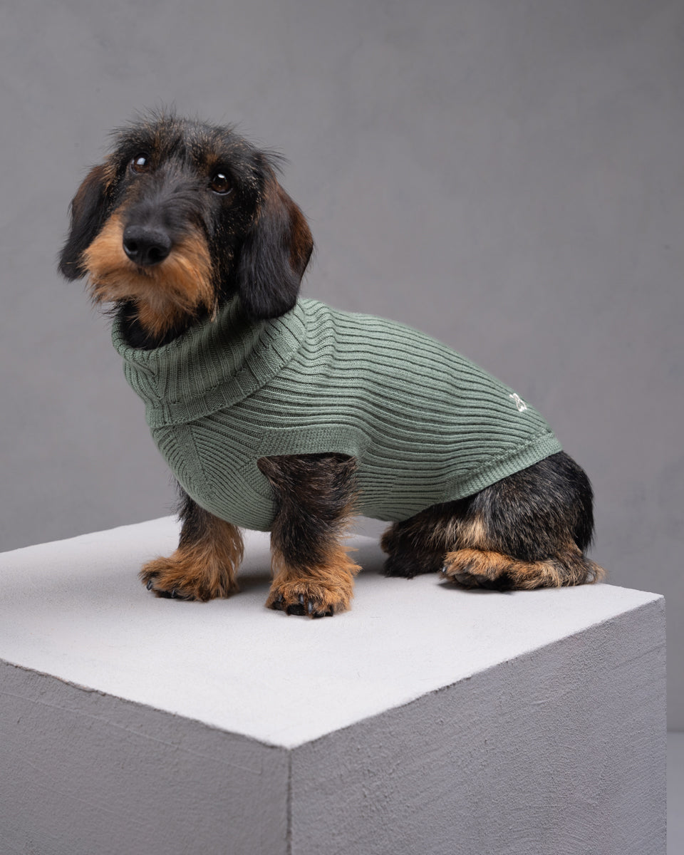 Paul – Merino Wool Dog Sweater