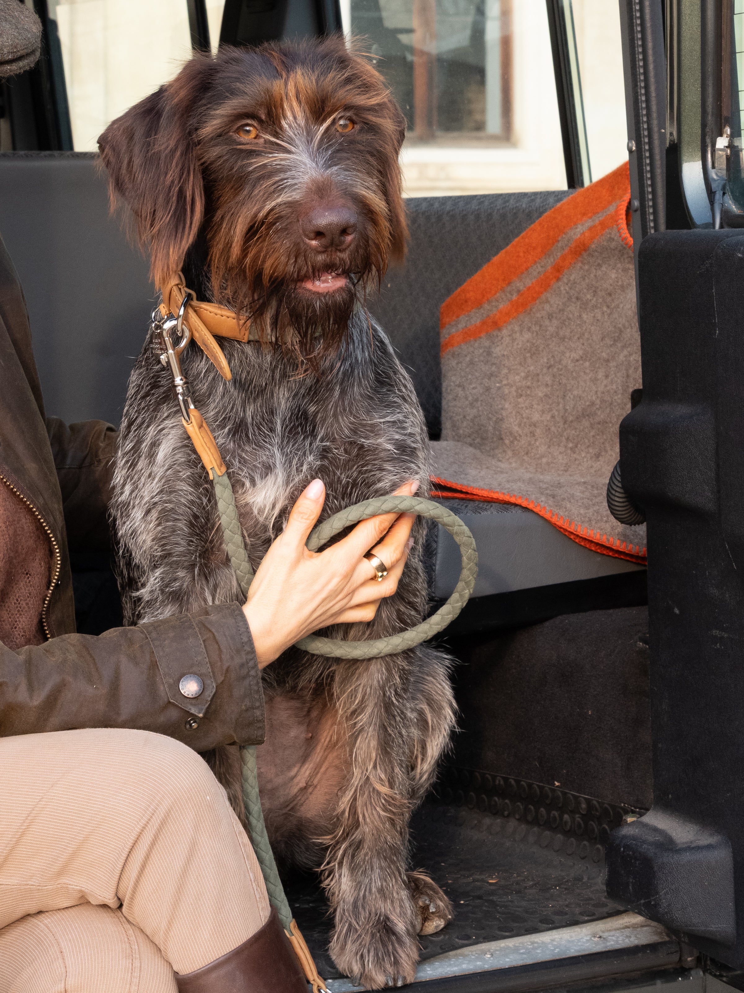 Dog-Travel-2-8-Products-Leash-Collar-2.jpg