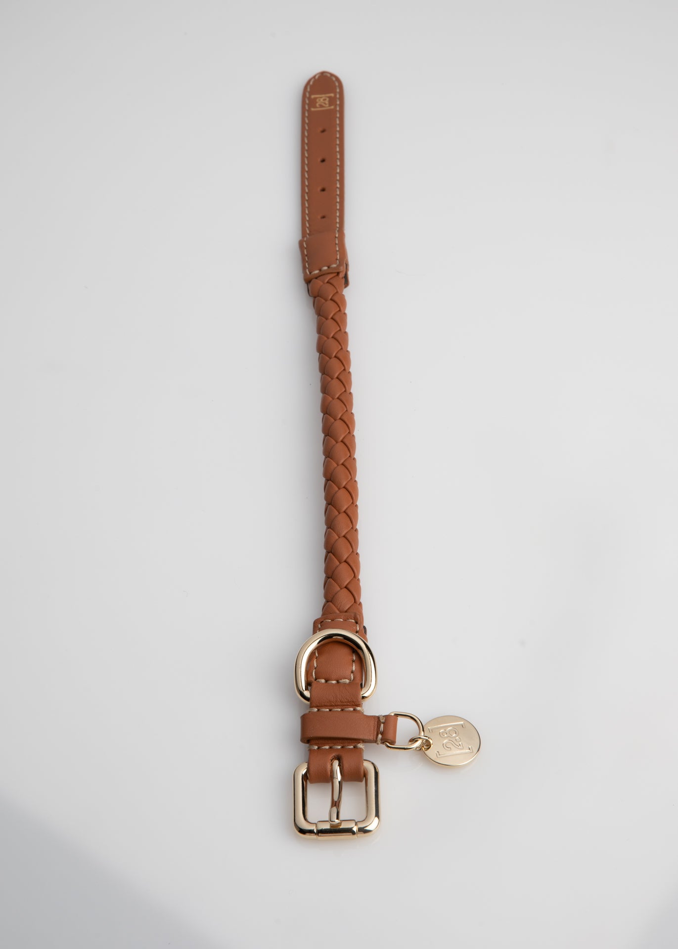 Ferdinando-Dog-Leash-Collar-Braided-Leather-20.jpg