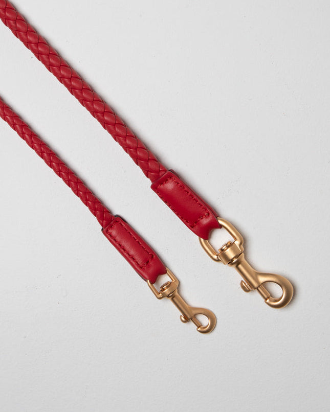Ferdinando-Dog-Leash-Collar-Braided-Leather-64.jpg