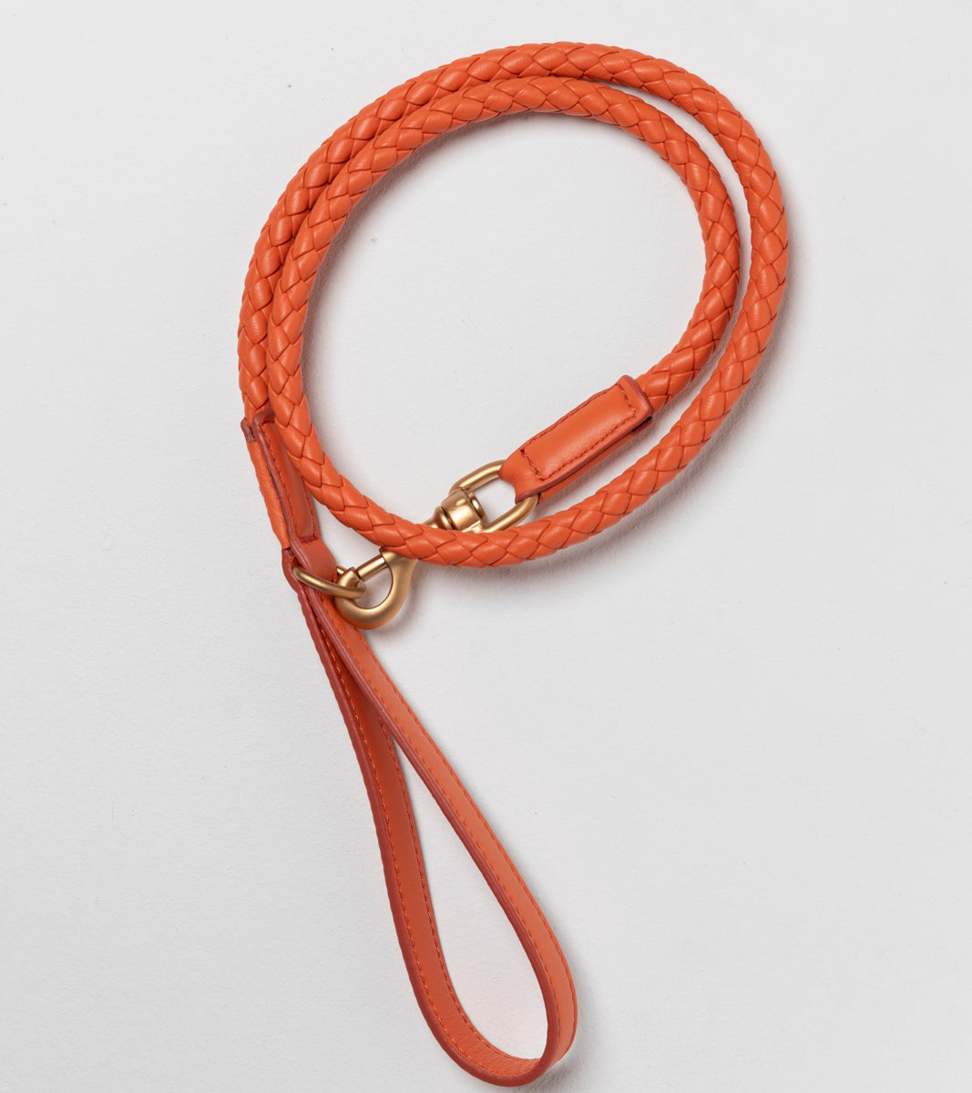 Ferdinando-Dog-Leash-Collar-Braided-Leather-69.jpg