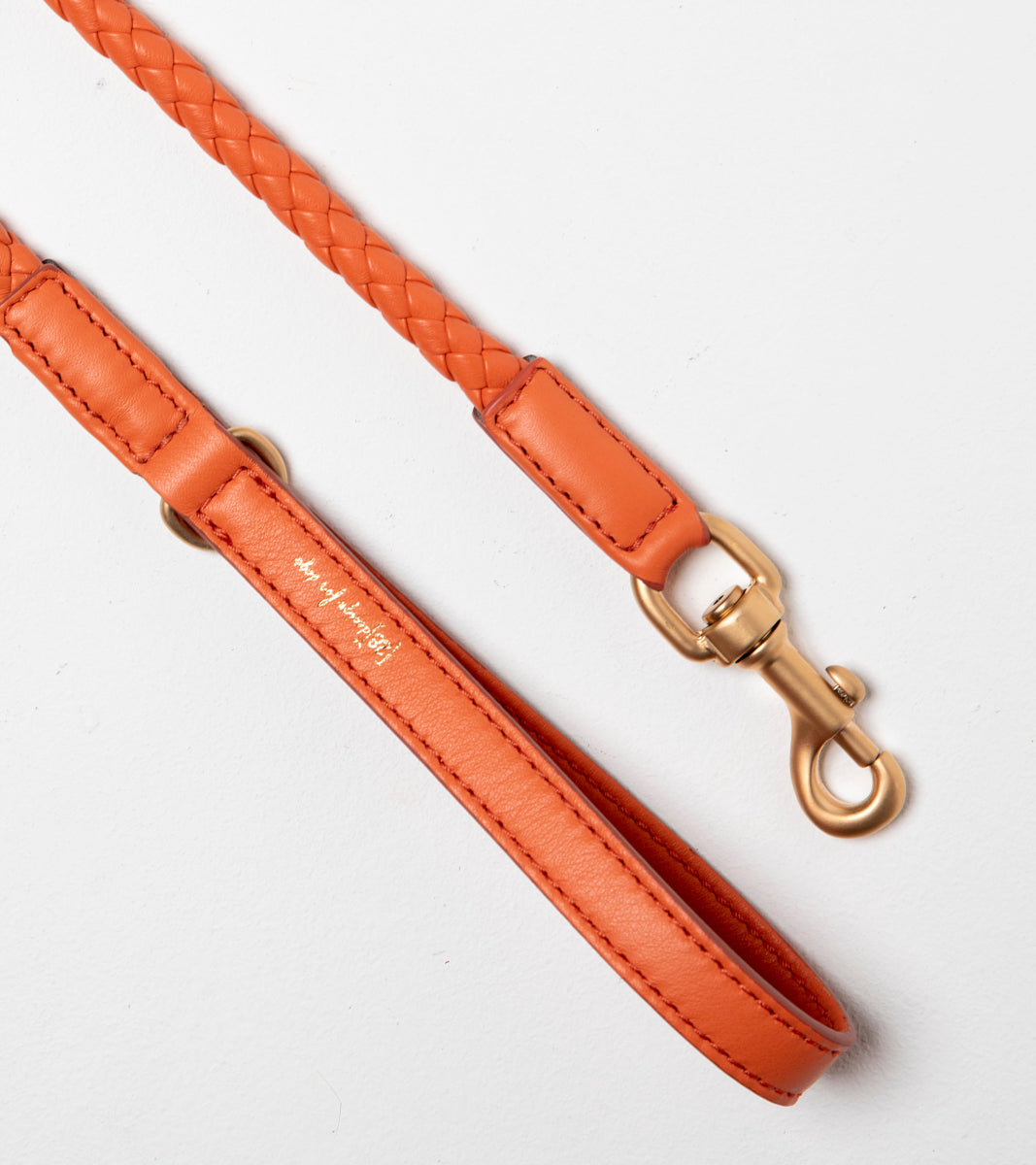 Ferdinando-Dog-Leash-Collar-Braided-Leather-70.jpg