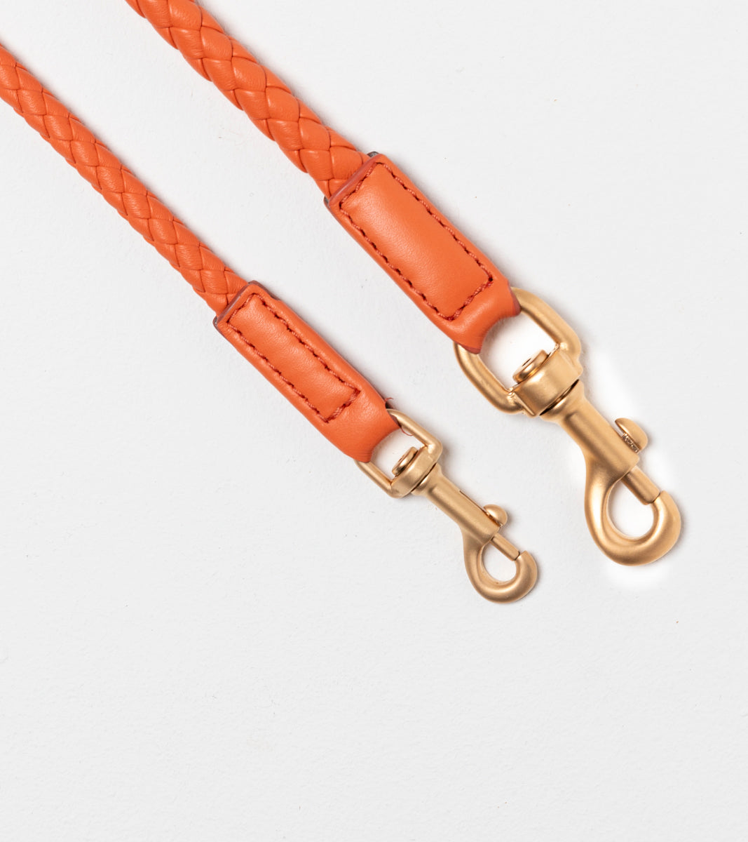 Ferdinando-Dog-Leash-Collar-Braided-Leather-71.jpg