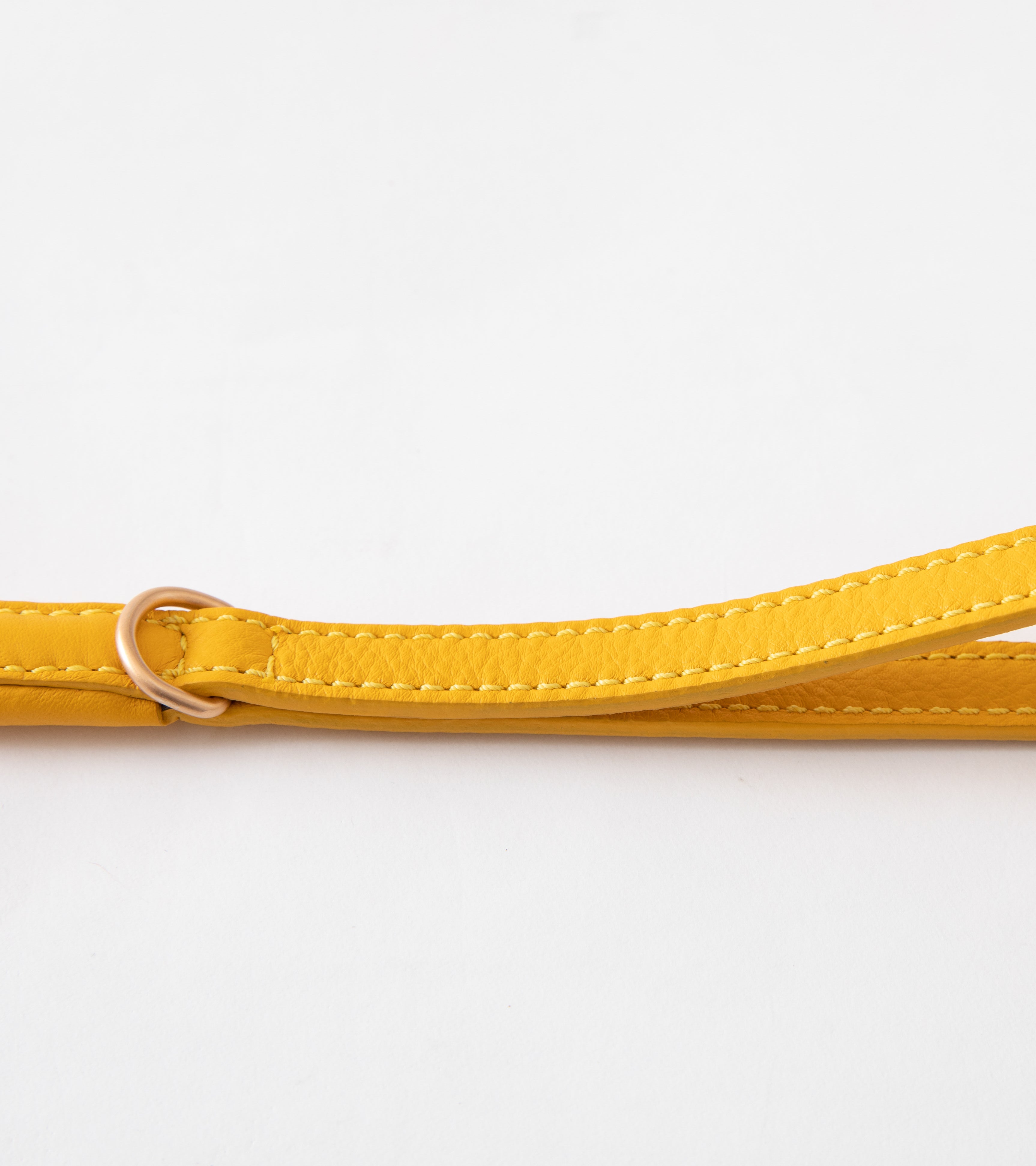 Ferdinando-Dog-Leash-Collar-Braided-Leather-72.jpg