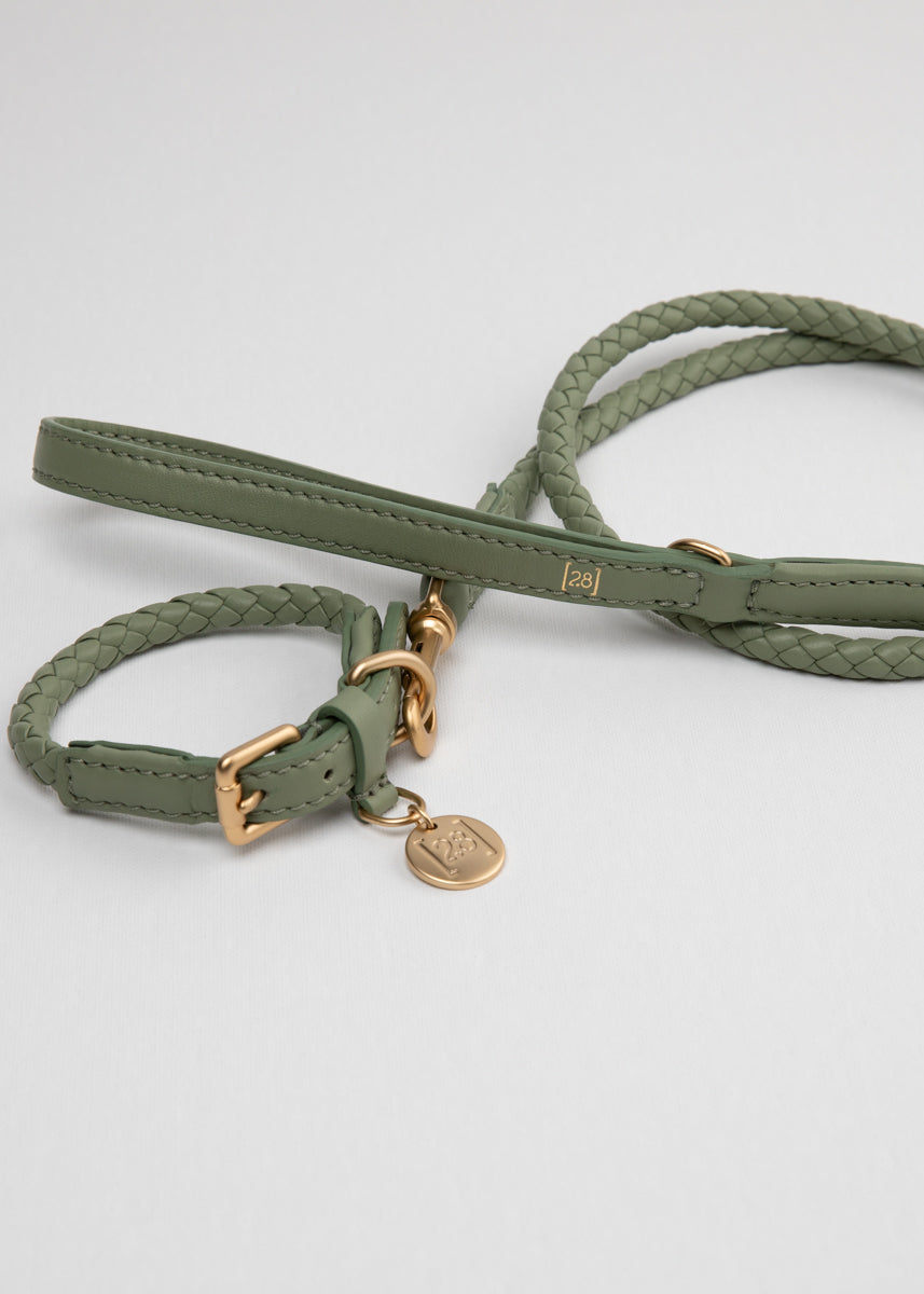 Ferdinando-Dog-Leash-Collar-Nappa-Leather.jpg
