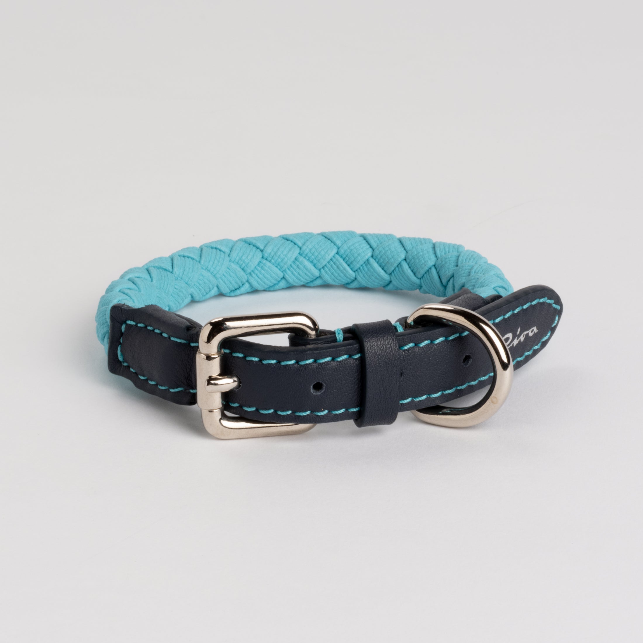 Ferdinando-Collar-Leash-Dogs-Riva-Collab-4.jpg