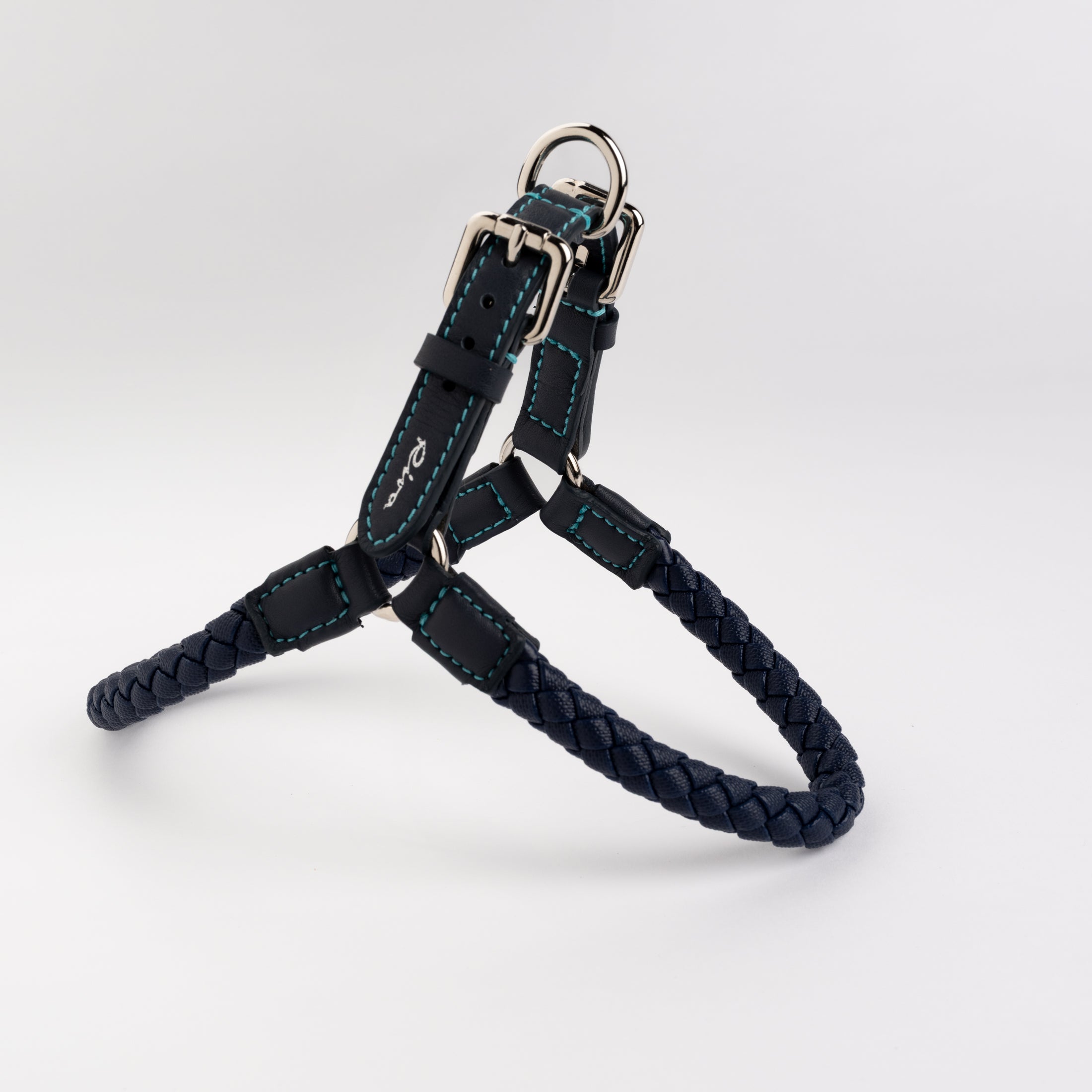 Ferdinando-Collar-Leash-Dogs-Riva-Collab-17.jpg