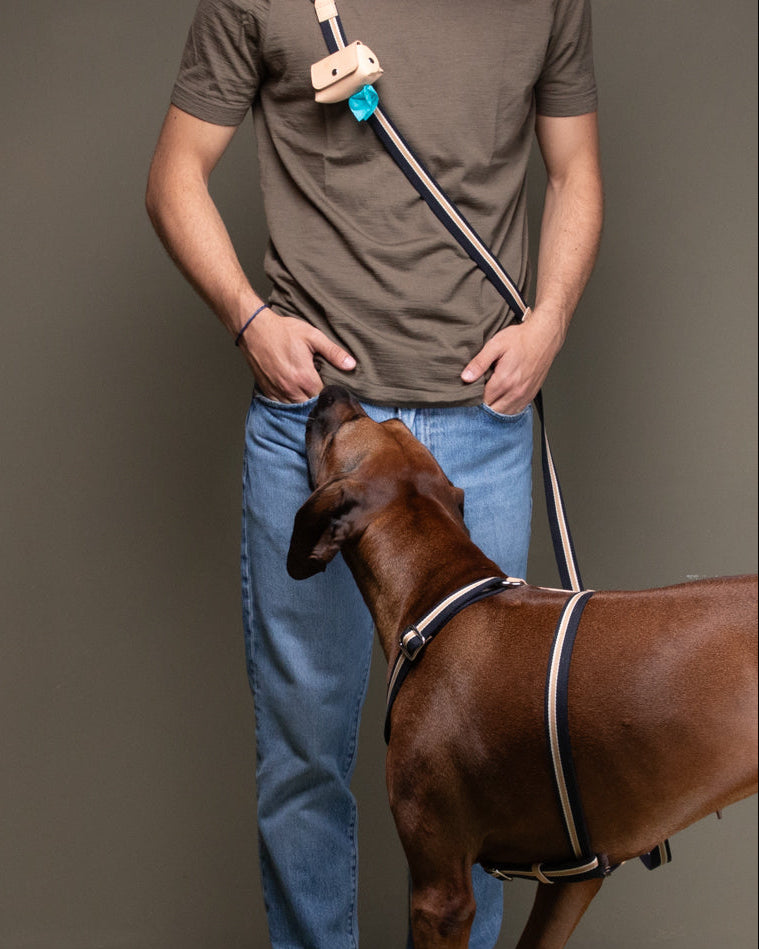 Franco-Collection-Leather-and-Ribbon-Dog-Travel-25.jpg