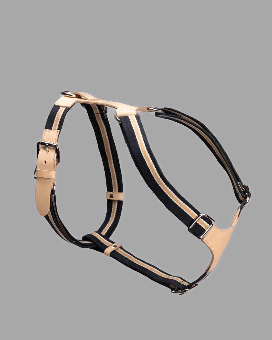 Franco-Collection-Leather-and-Ribbon-Dog-Travel-8.jpg
