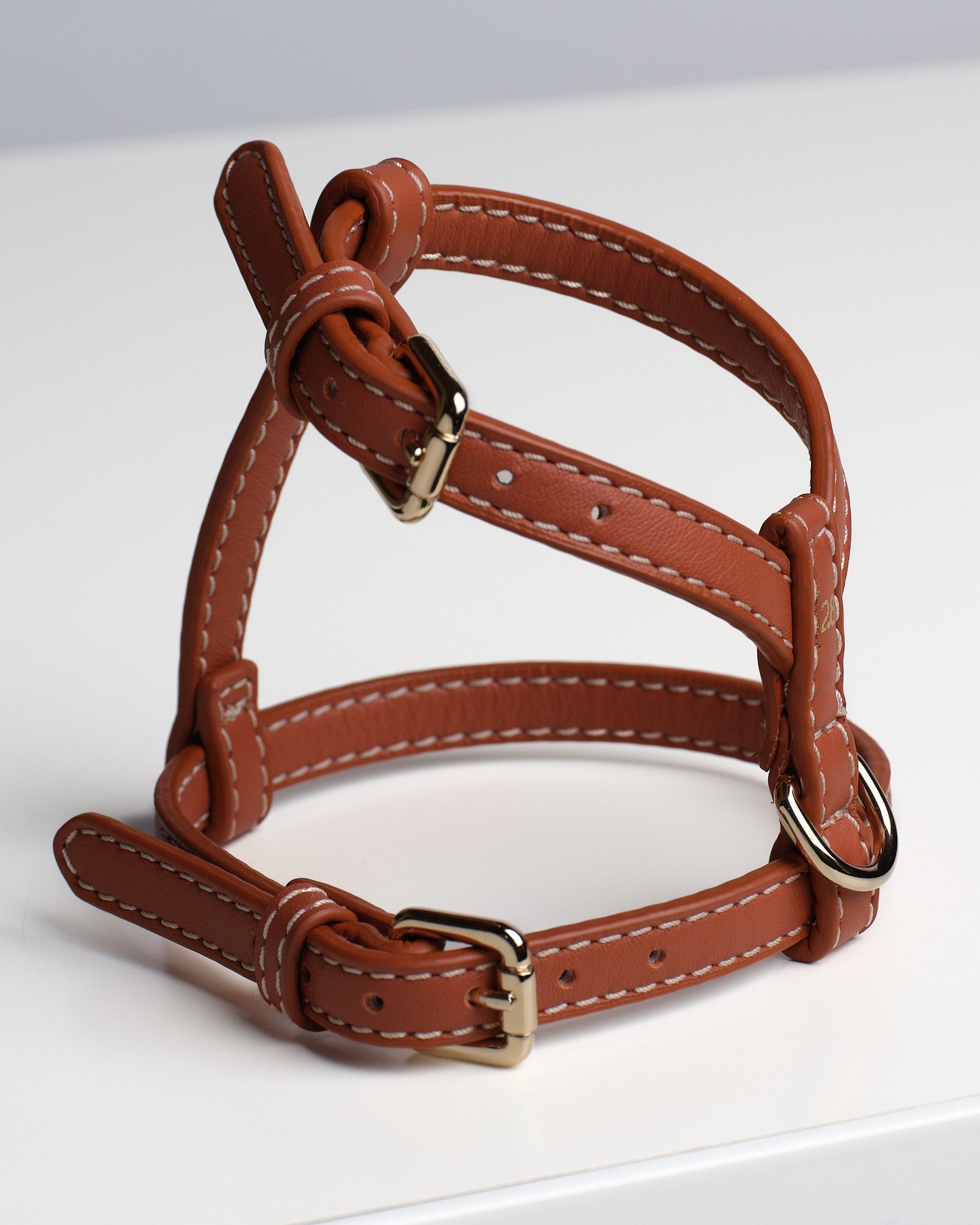 Gabriele-Leash-and-Harness-Nappa-Dog-Travel-43.jpg