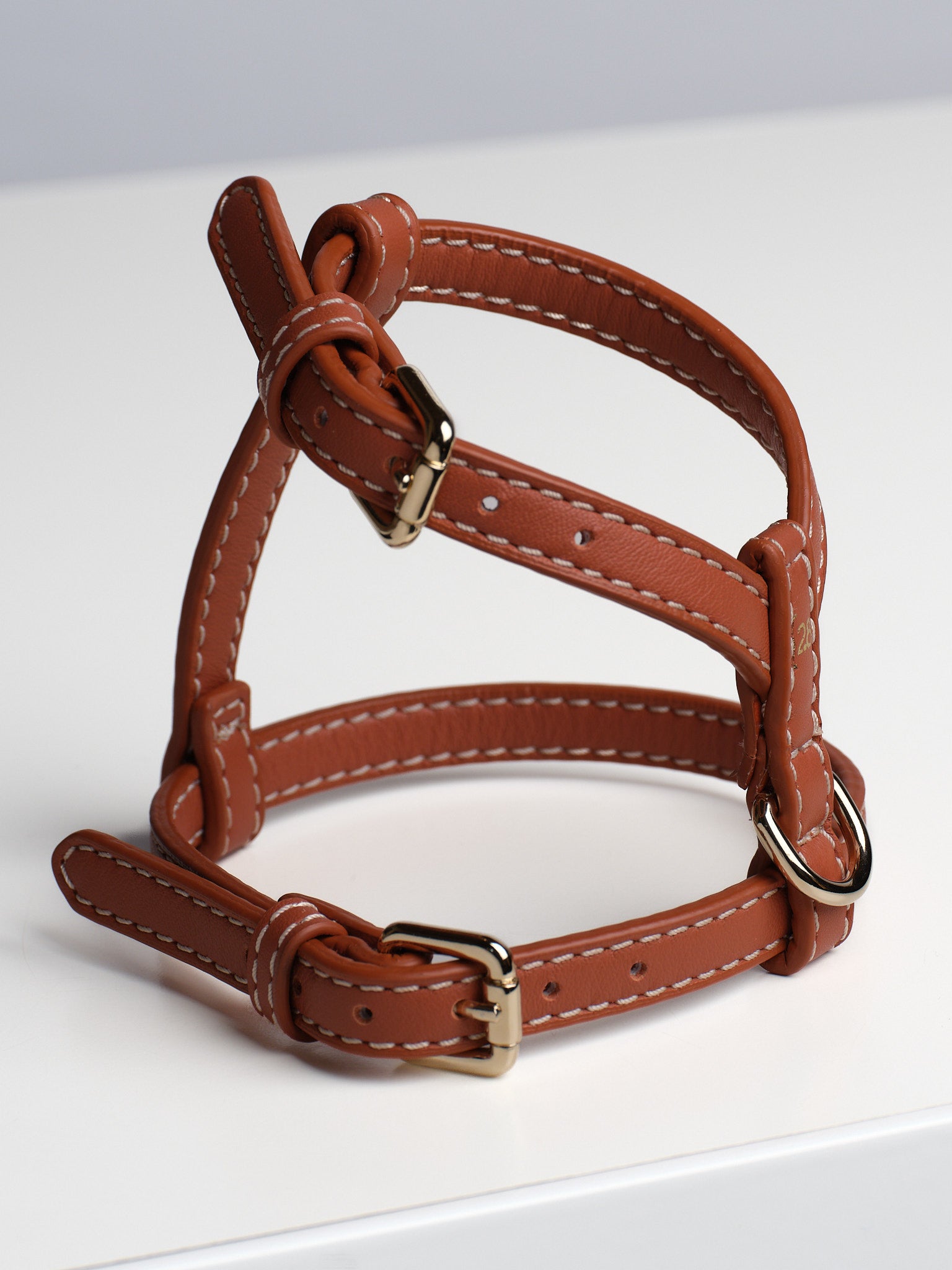 Gabriele-Leash-and-Harness-Nappa-Dog-Travel-43.jpg