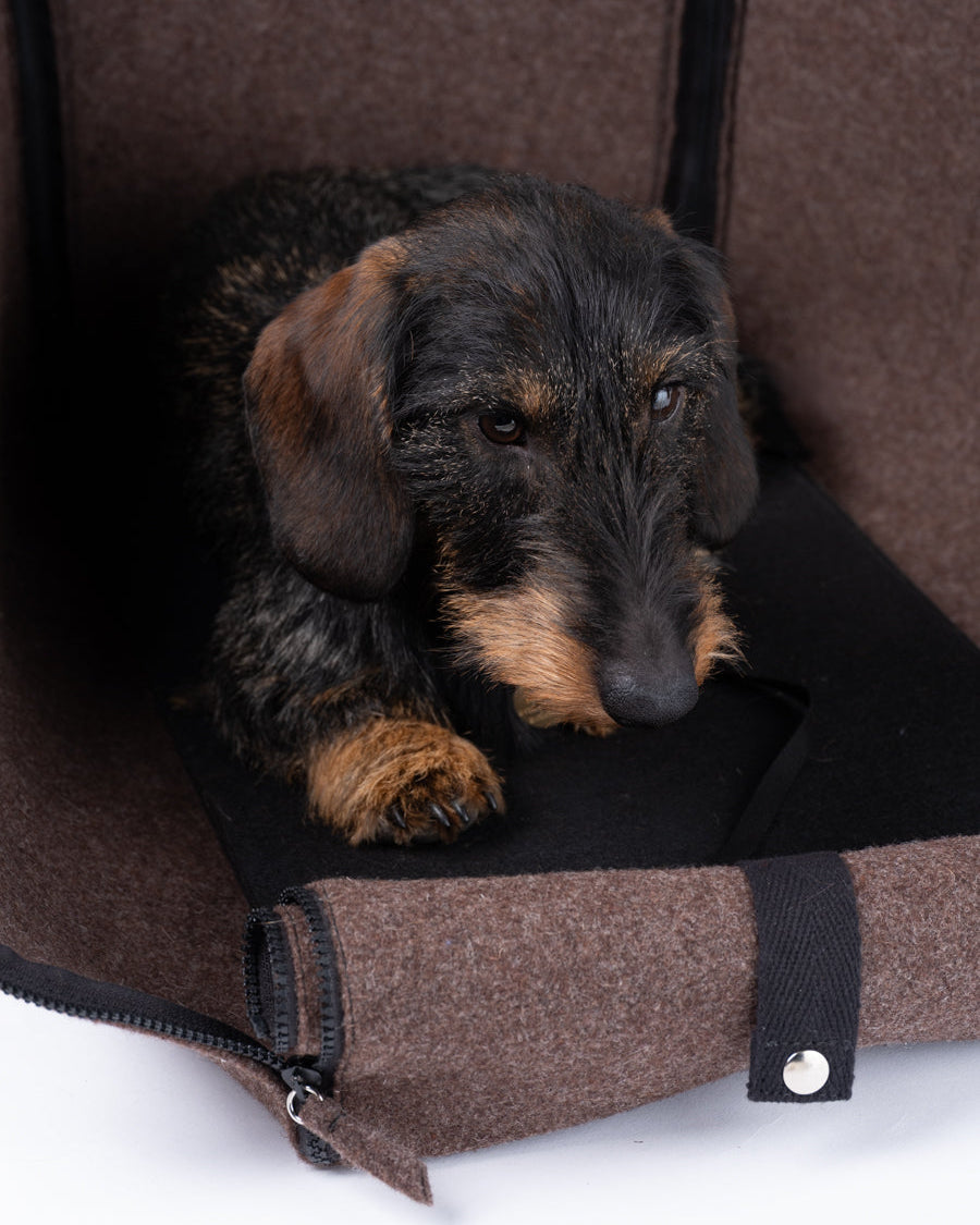 Gianni-Dog-Bag-Carrier-Car-Traveling-12.jpg