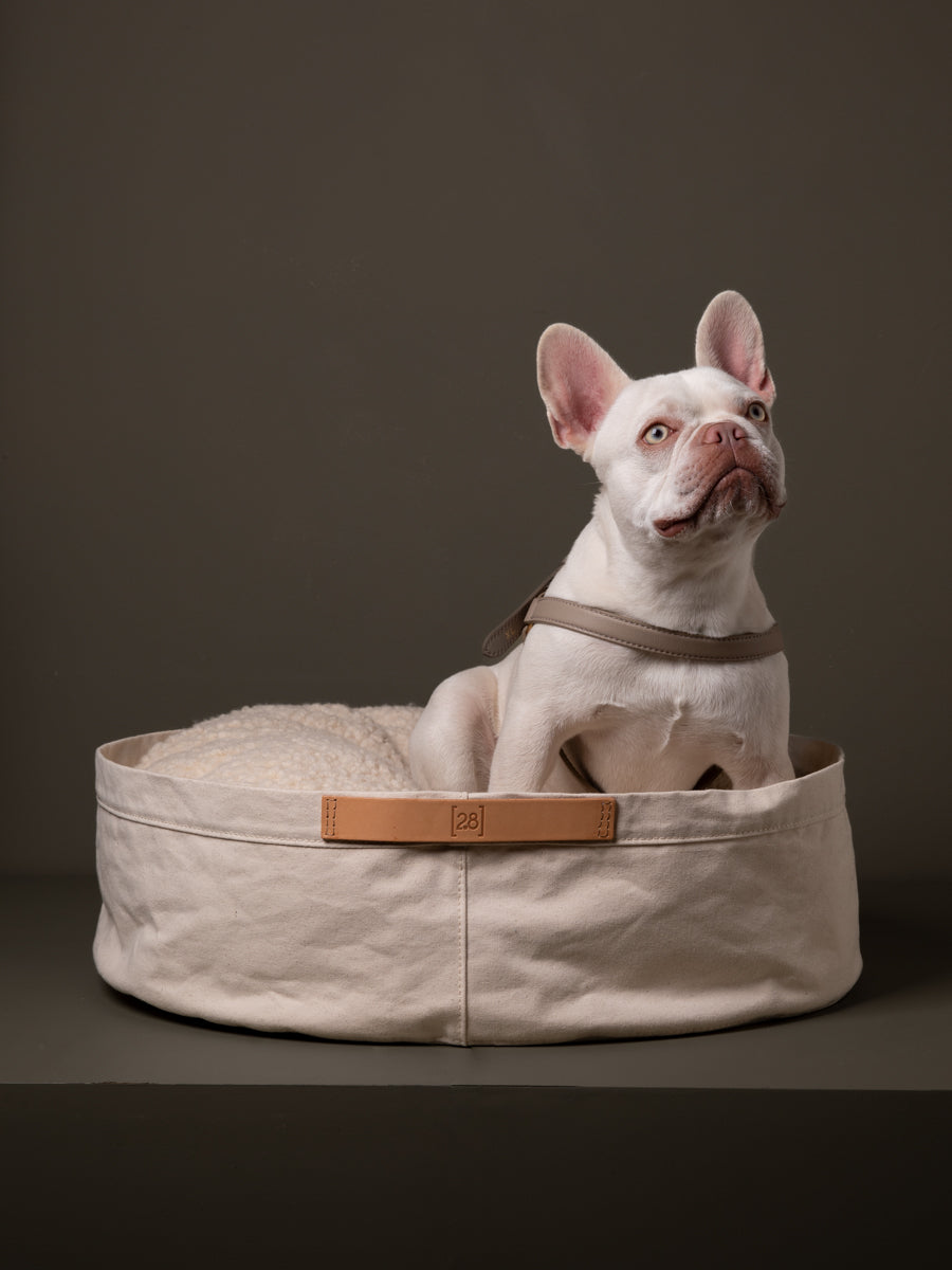 Irving-Dog-Bed-Mario-Harmess-Leather.jpg