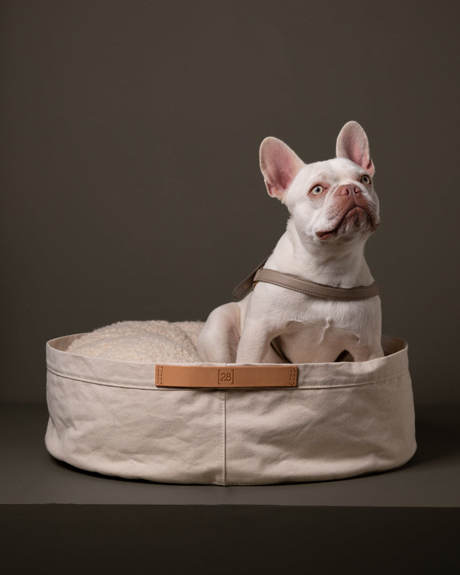 Irving-Dog-Bed-Mario-Harmess-Leather.jpg