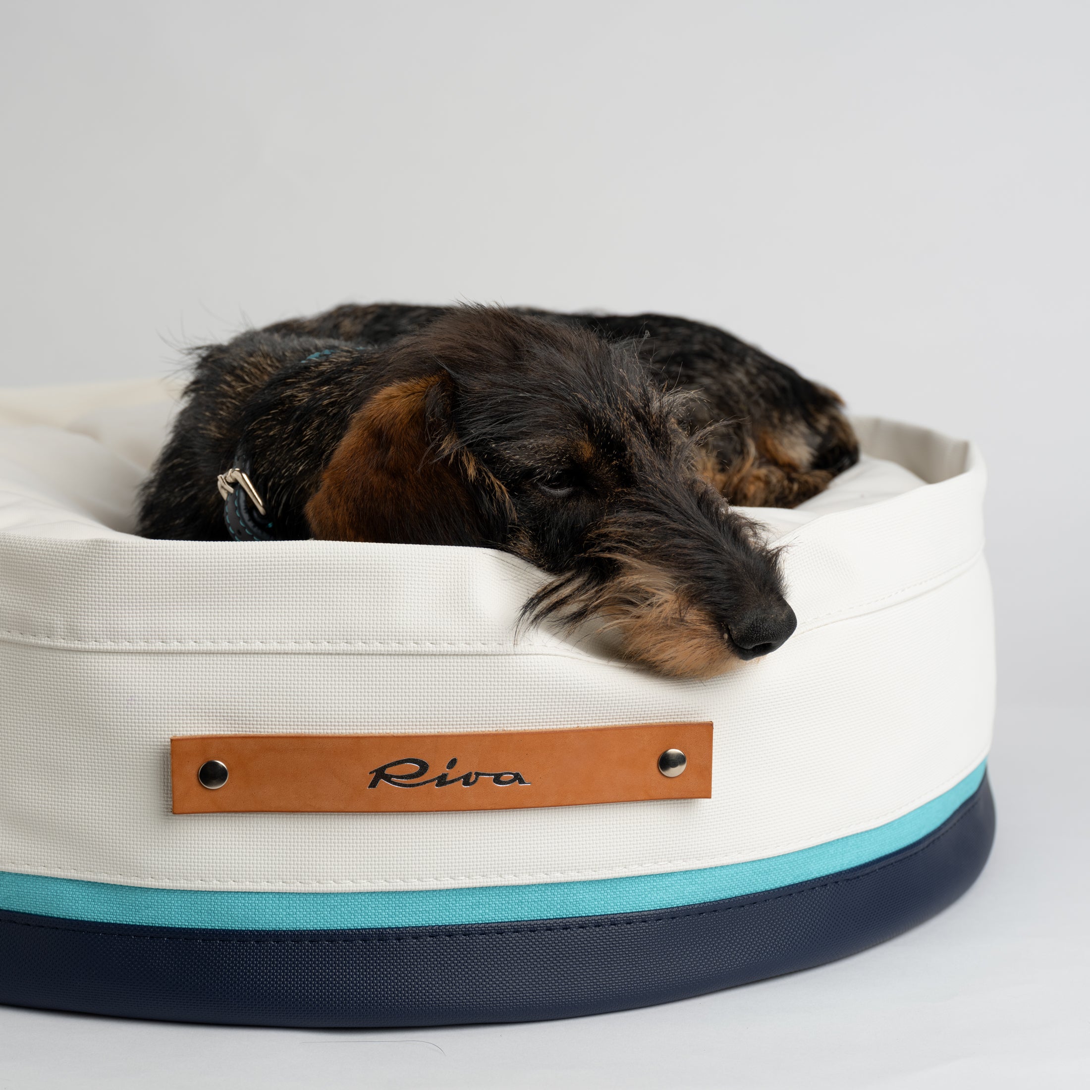 Irving-Riva-Collab-Dog-Bed-Boat-2.jpg