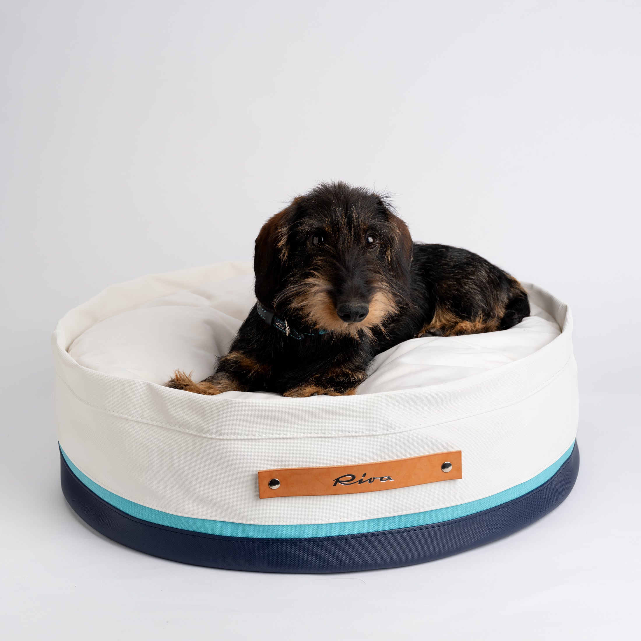 Irving-Riva-Collab-Dog-Bed-Boat-3.jpg