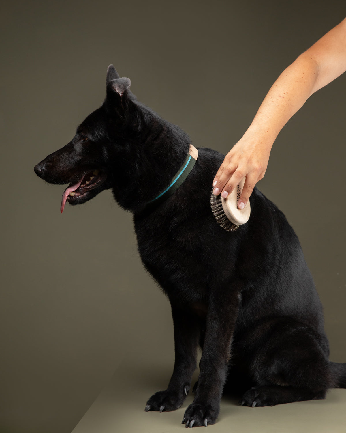 Lee-Short-Long-Hair-Brush-for-Dogs-10.jpg