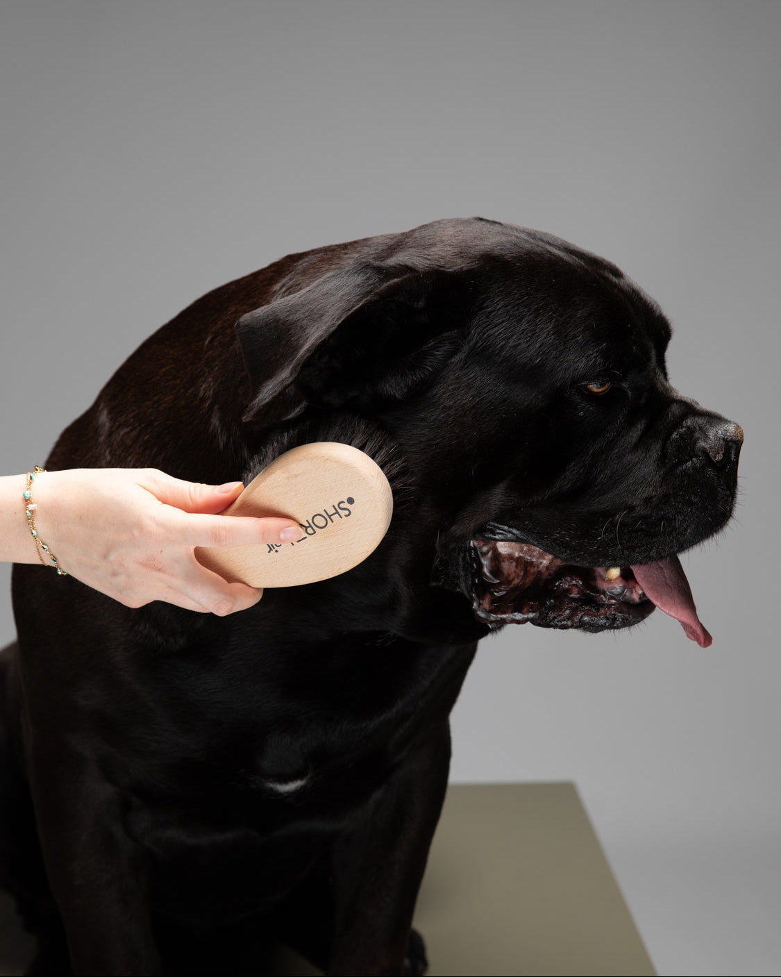 Lee-Short-Long-Hair-Brush-for-Dogs-12.jpg