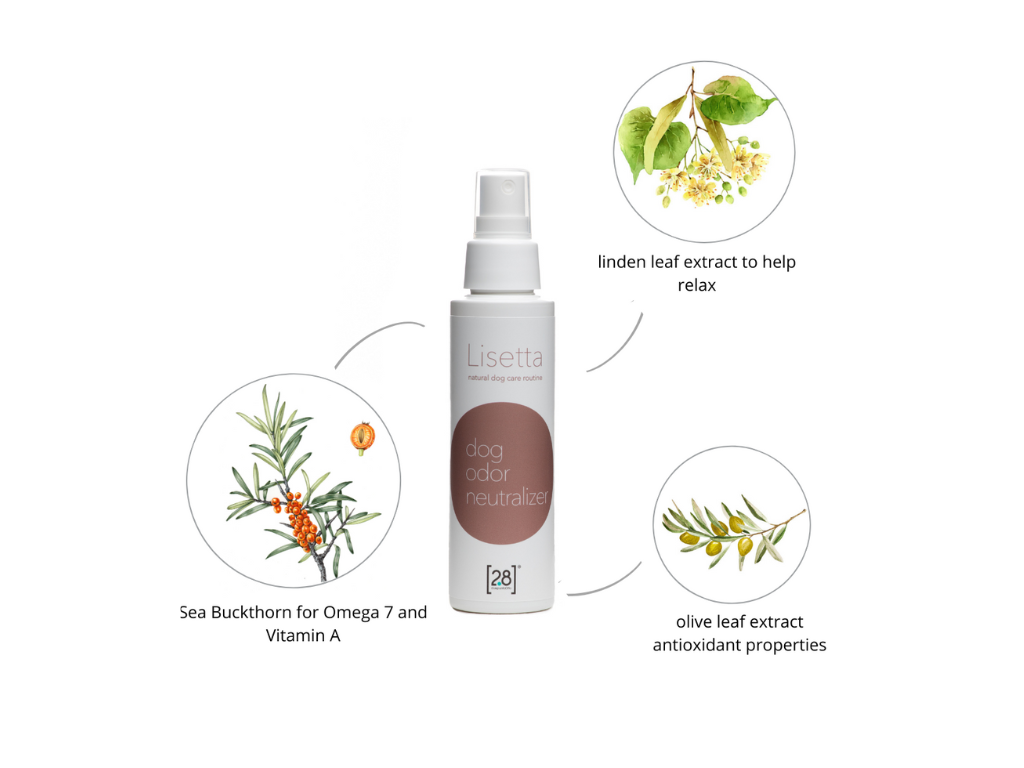 Lisetta-Dog-Care-Kit-for-Hygiene-7.jpg