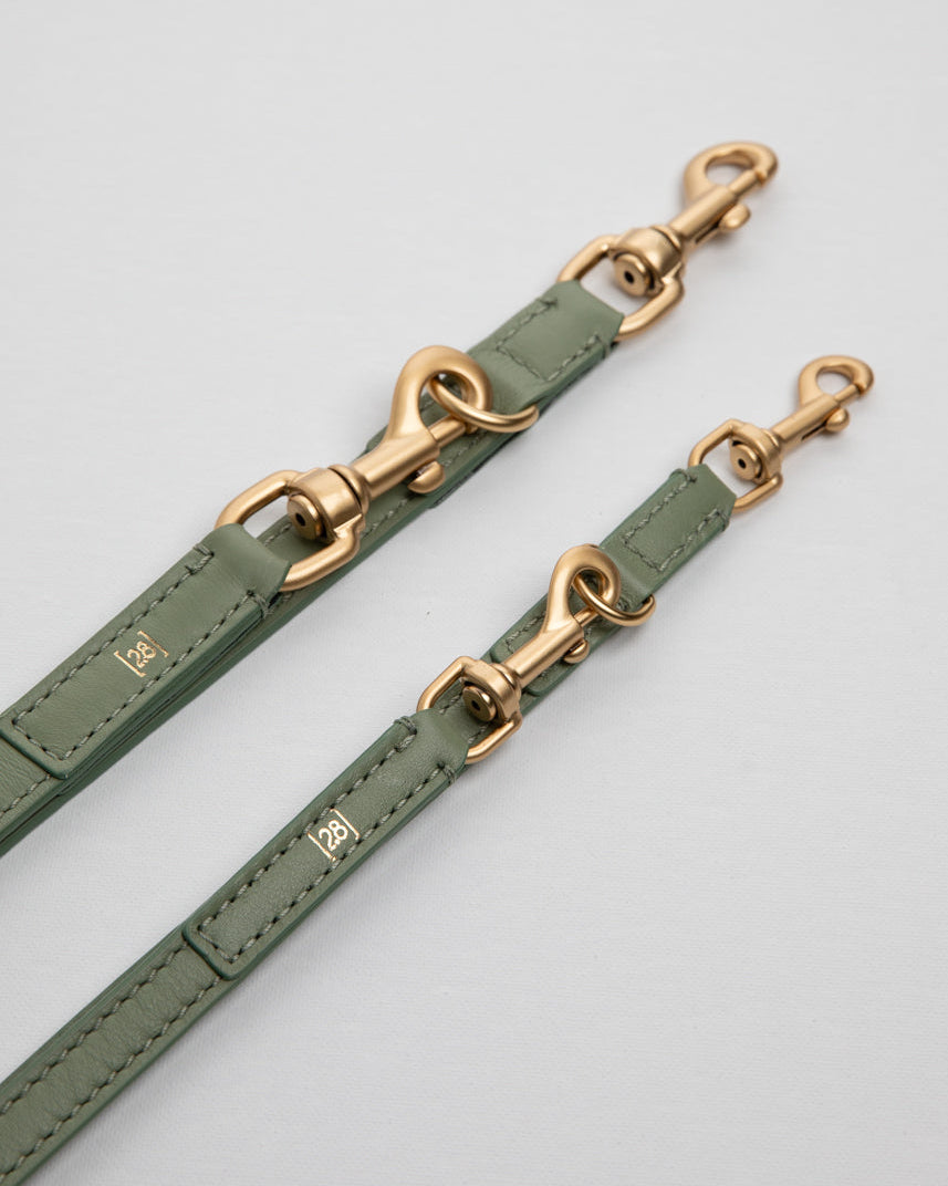 Mario-Leash-and-Harness-Nappa-Dog-Travel.jpg