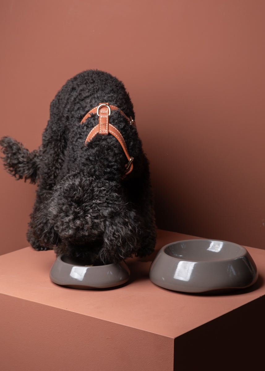 sarah-dog-bowl-ceramic-food-drink-2.jpg
