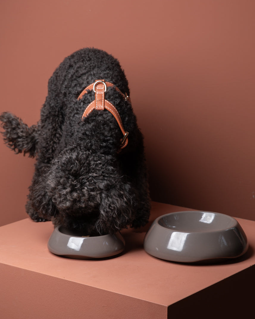 sarah-dog-bowl-ceramic-food-drink-2.jpg