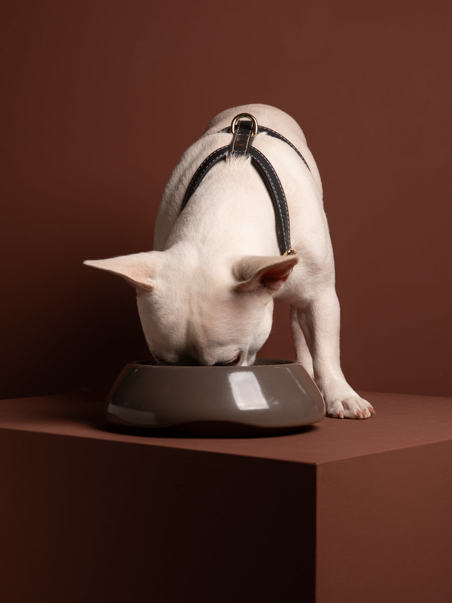 sarah-dog-bowl-ceramic-food-drink-6.jpg