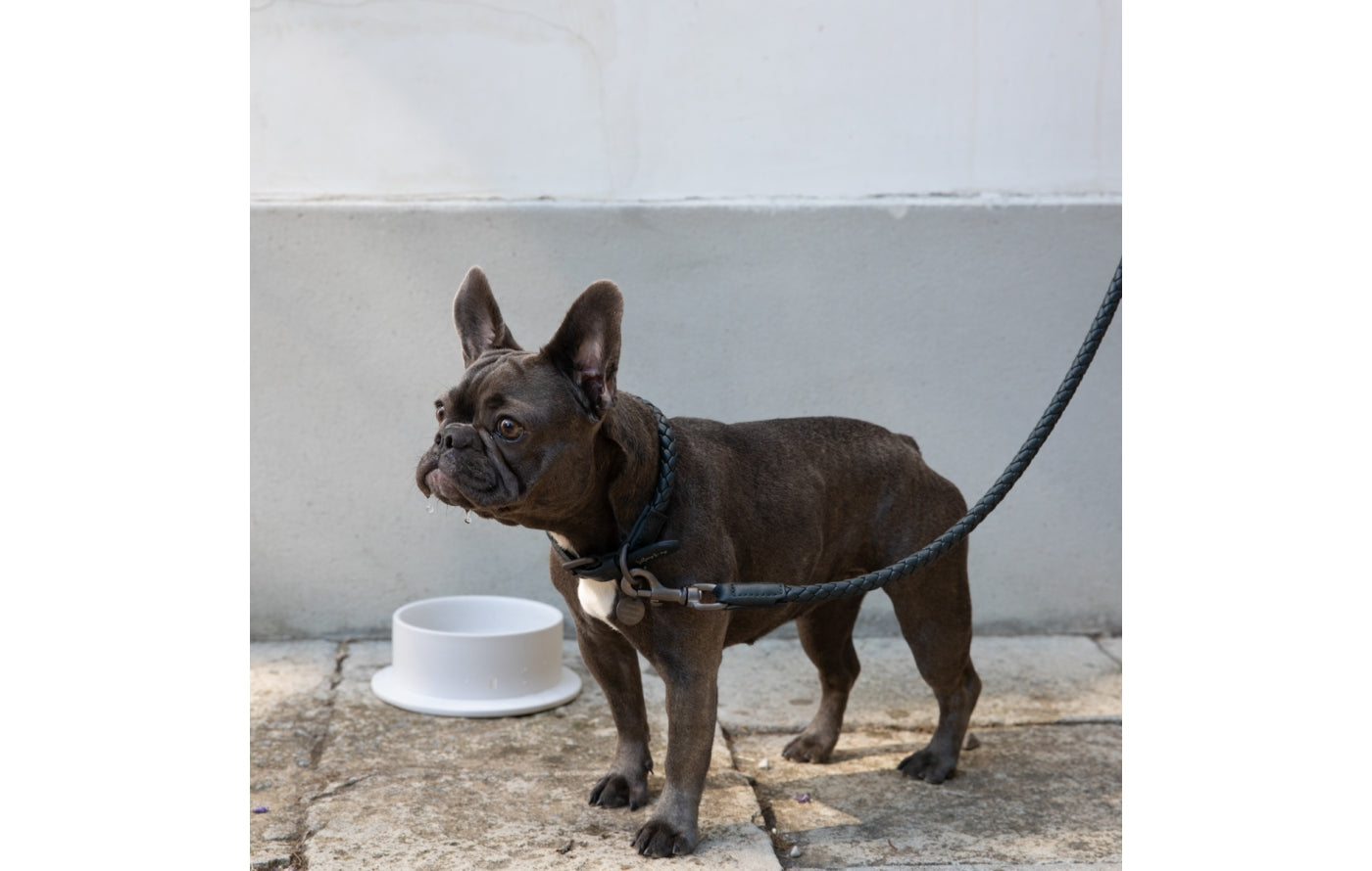 Ferdinando - Dark Hardware Nappa Leash