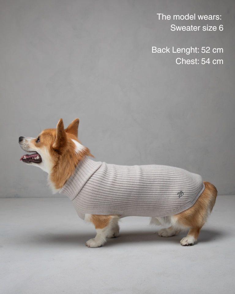 Paul – Maglione per cani in lana merino