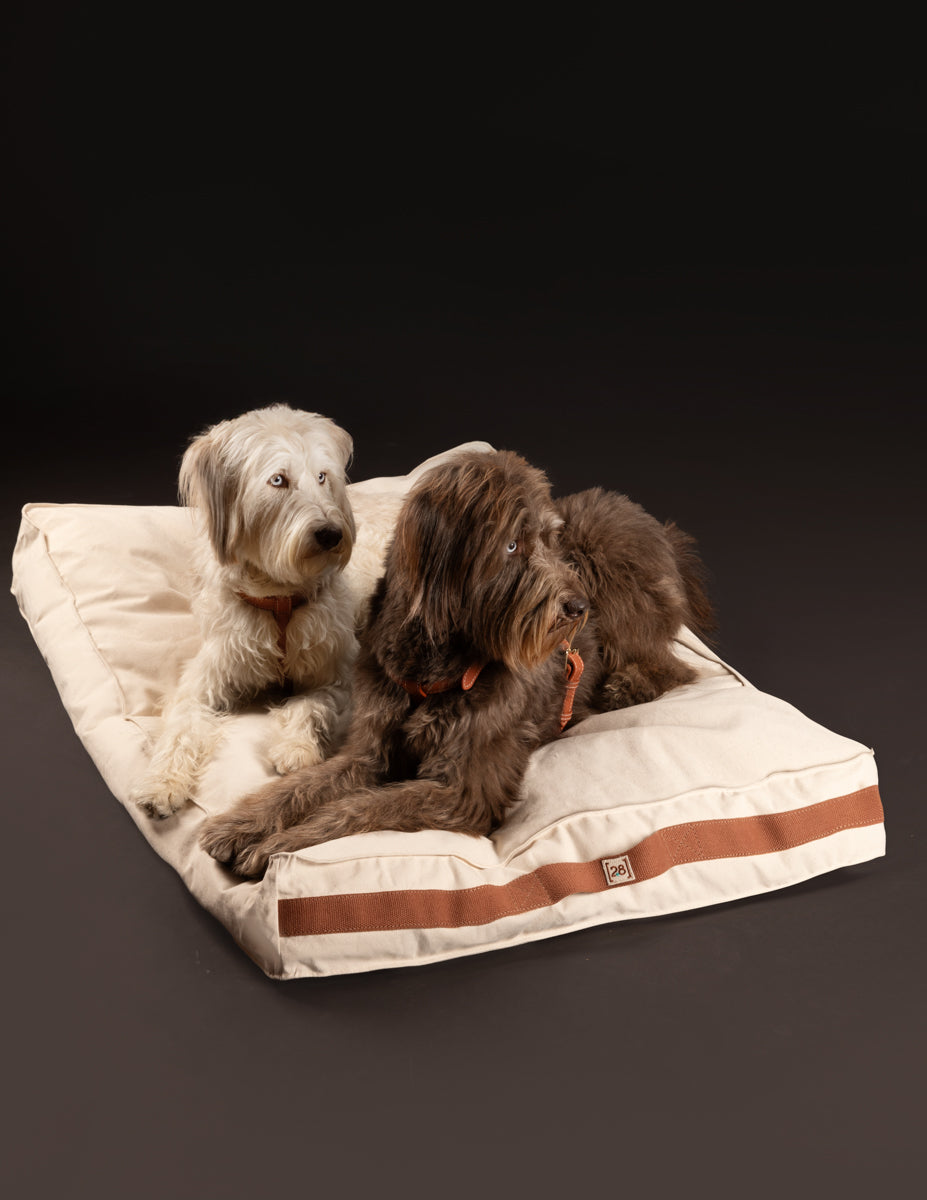 Elliot – Coussin pour chien en toile résistante