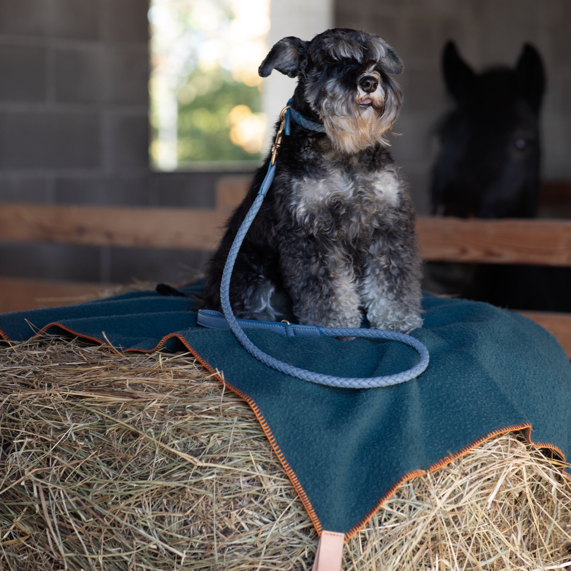 Ferdinando - Guinzaglio in pelle intrecciata