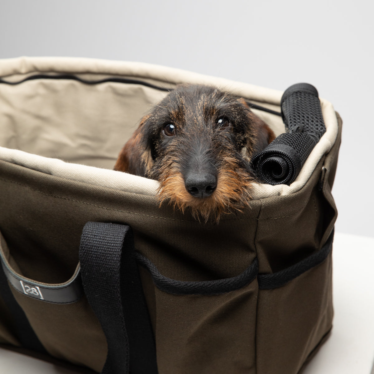 Diane – Borsa per cani di cotone