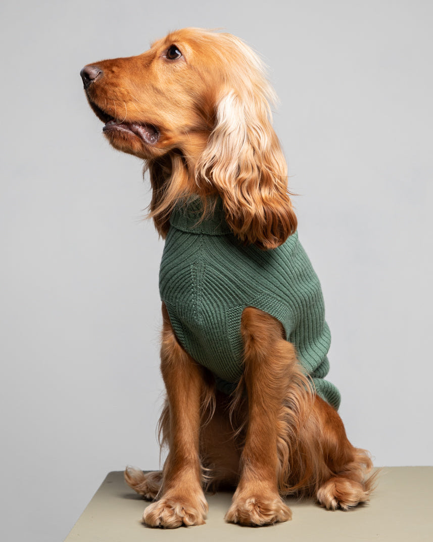 Paul – Merino Wool Dog Sweater