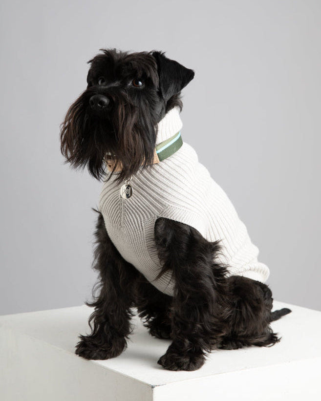 Paul – Merino Wool Dog Sweater
