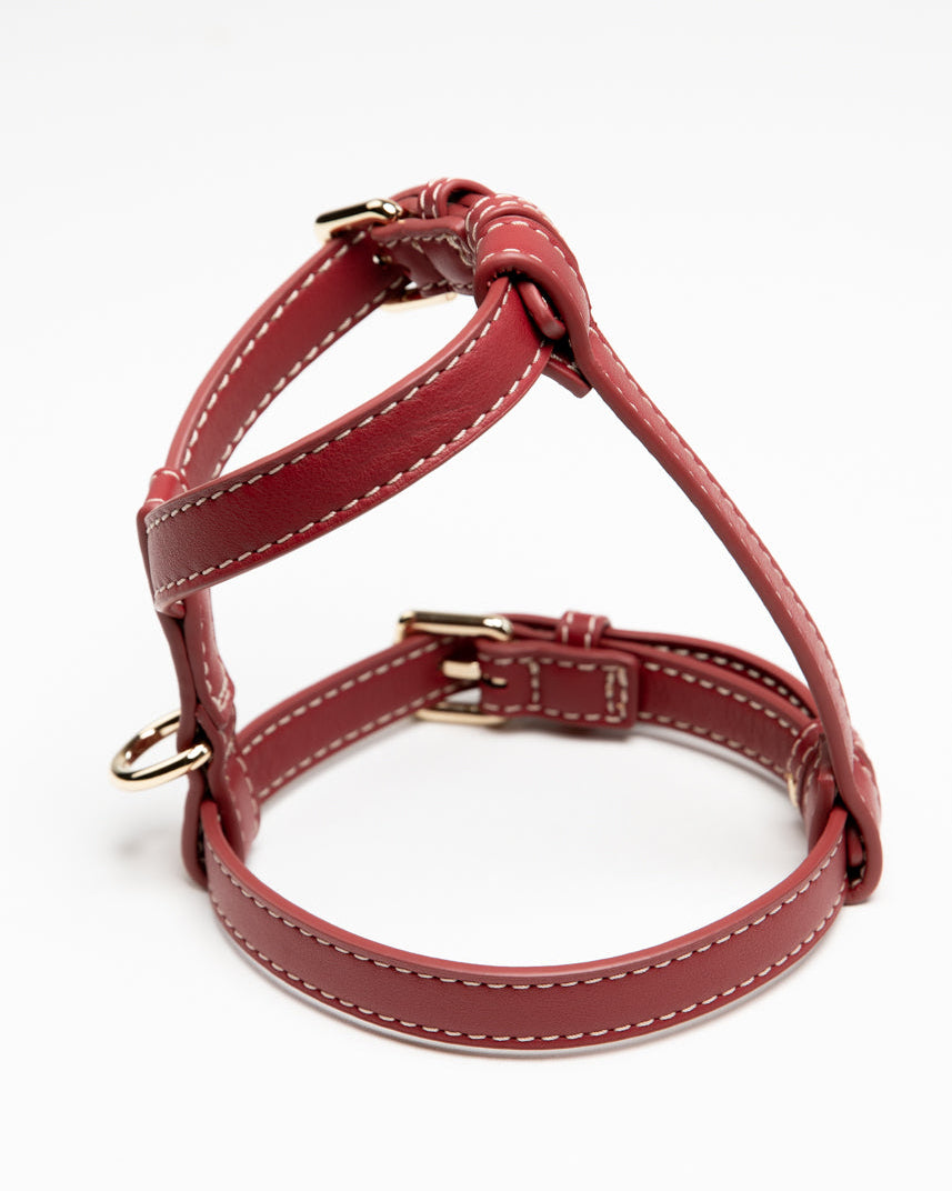 Gabriele – H-förmiges Hundegeschirr aus Leder
