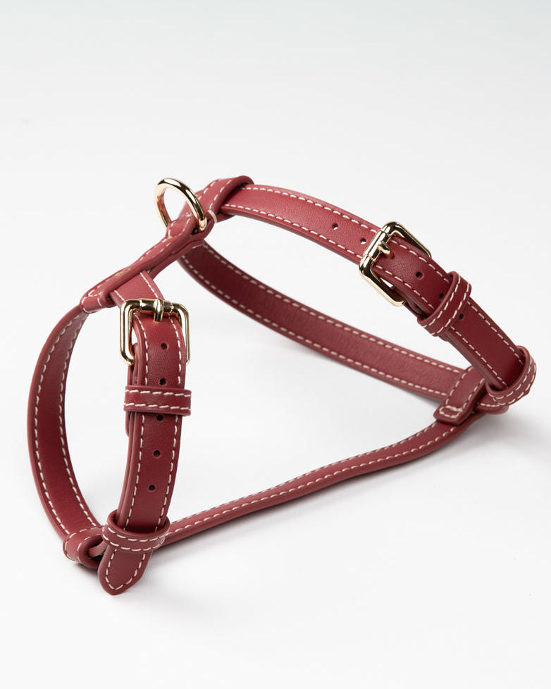 Gabriele – H-förmiges Hundegeschirr aus Leder