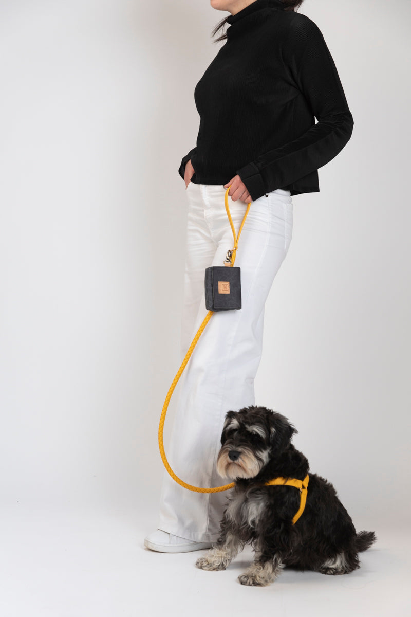 Mario – Step-In Leather Dog Harness