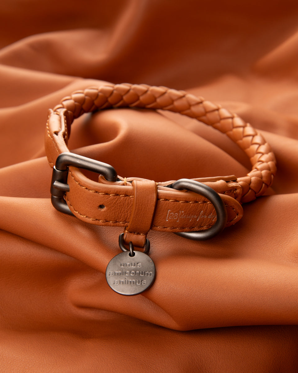 Ferdinando - Dark Hardware Braided Leather Collars