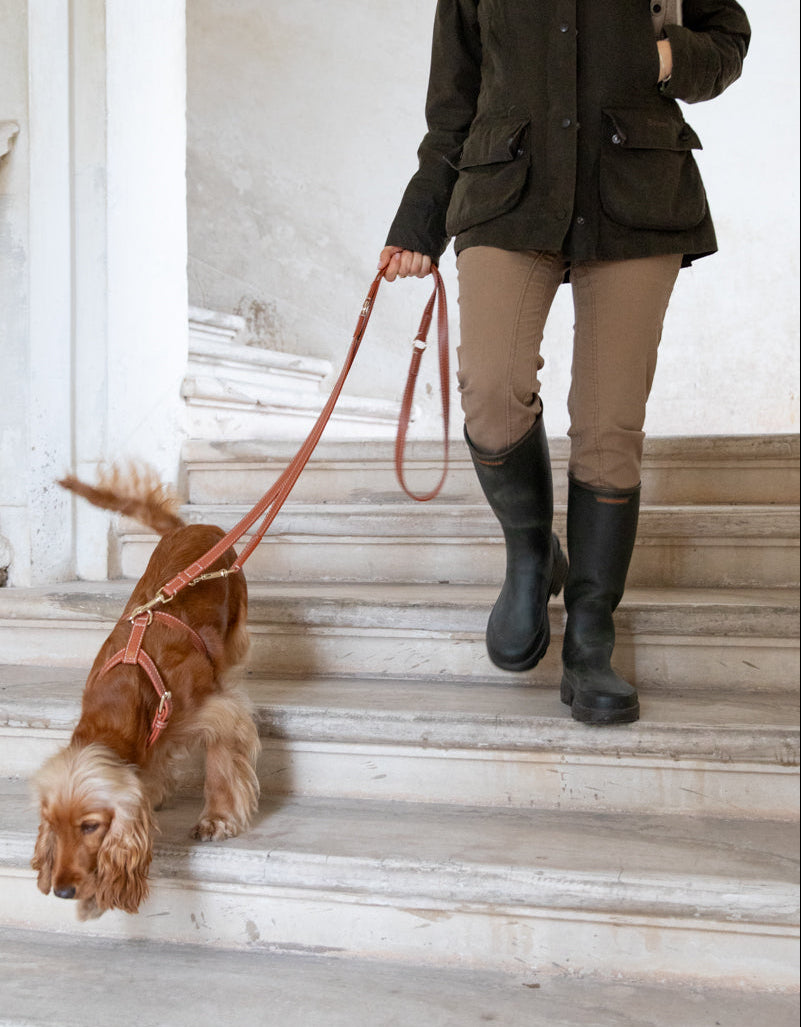 Gabriele – Guinzaglio Regolabile in Pelle