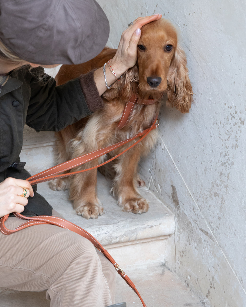 Gabriele - Laisse en cuir réglable