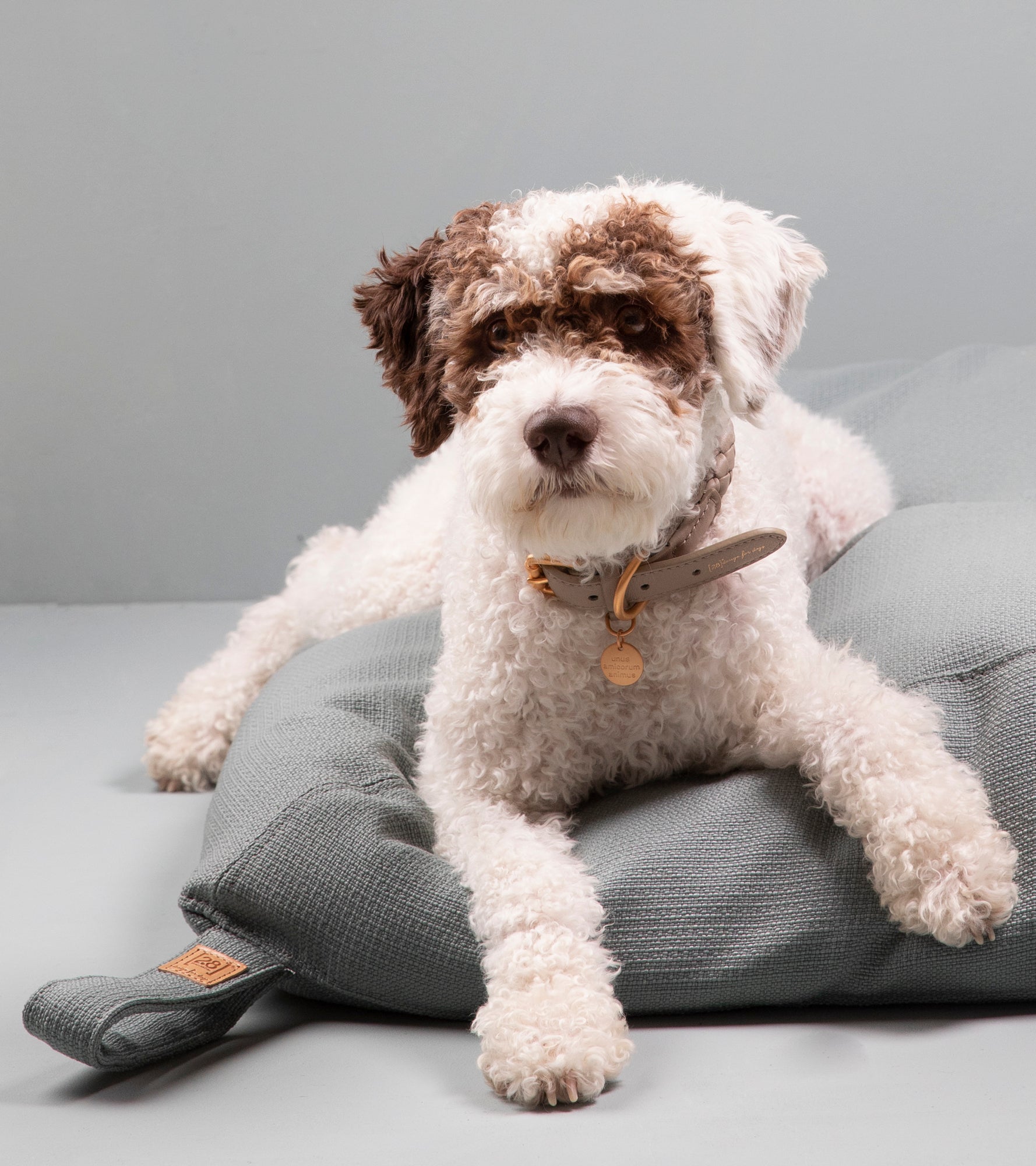 Yousuf – Cuscino per cani Reviva®