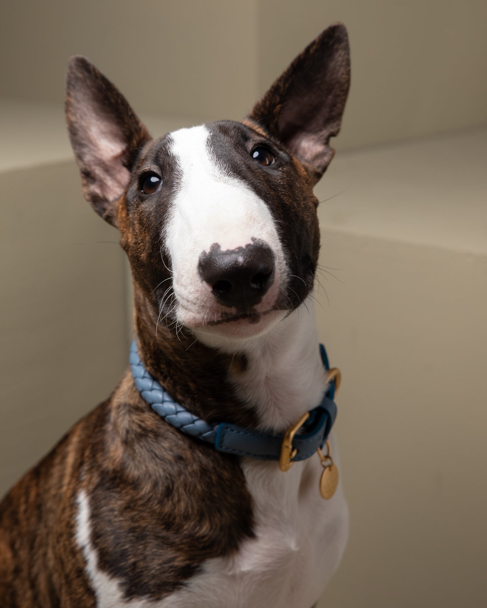 Ferdinando - Collare in pelle intrecciata