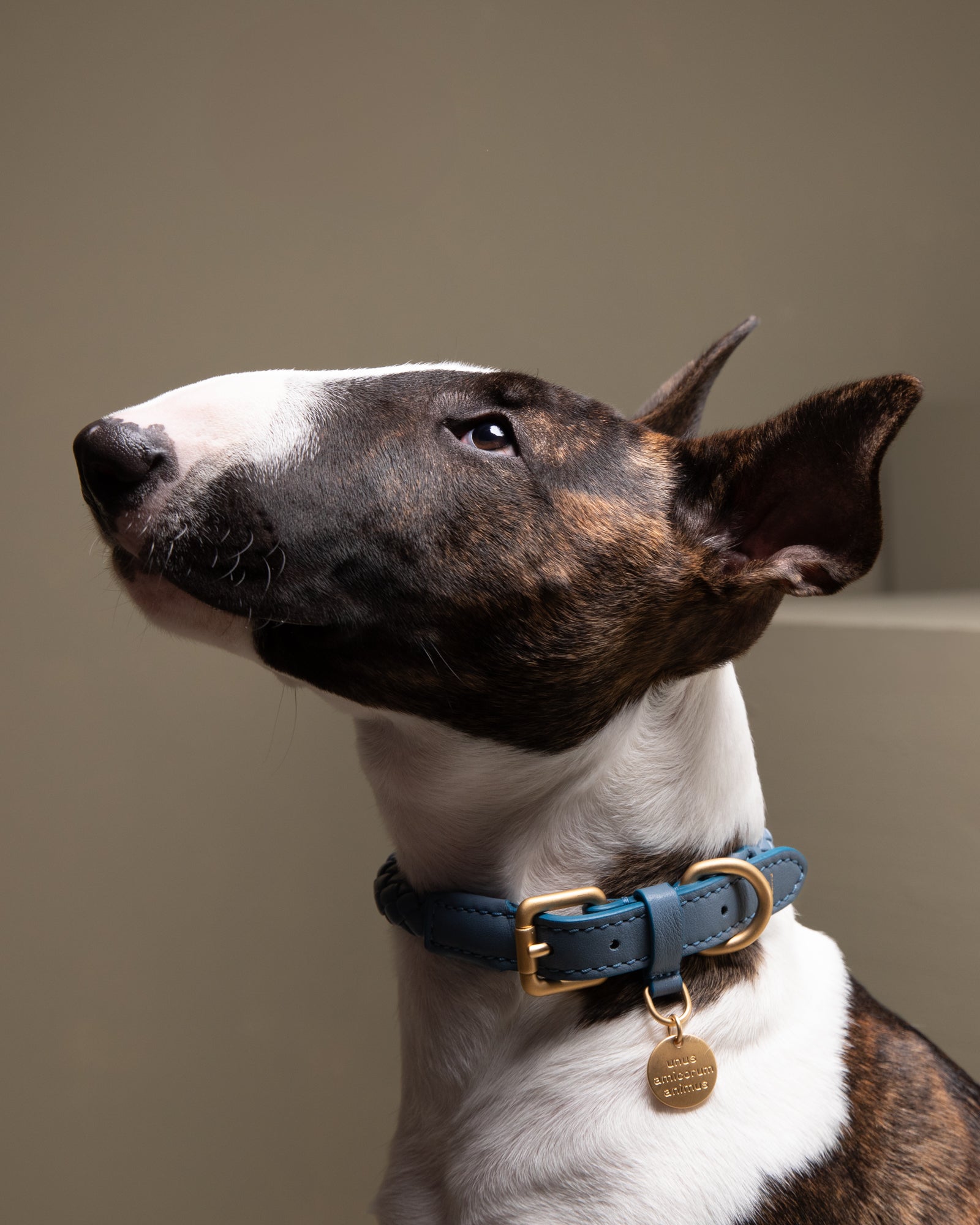 Ferdinando - Braided Leather Collar