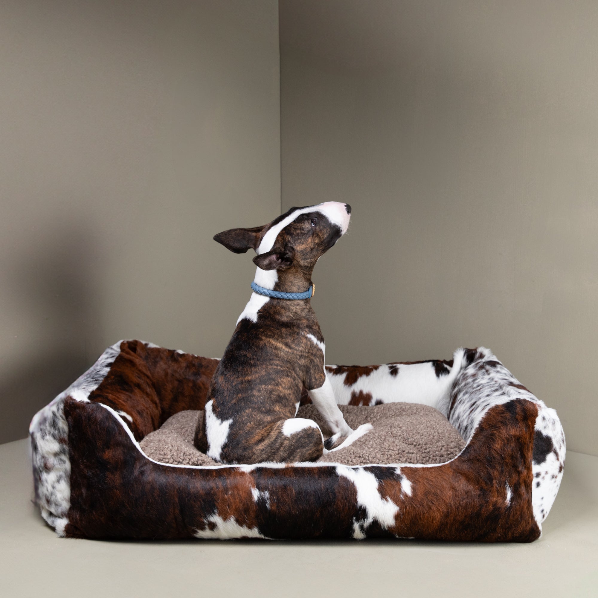 Hundebett aus Rindsleder — Henri | Luxus-Hundebett | Waschbarer Bezug |  Handmade in Italy